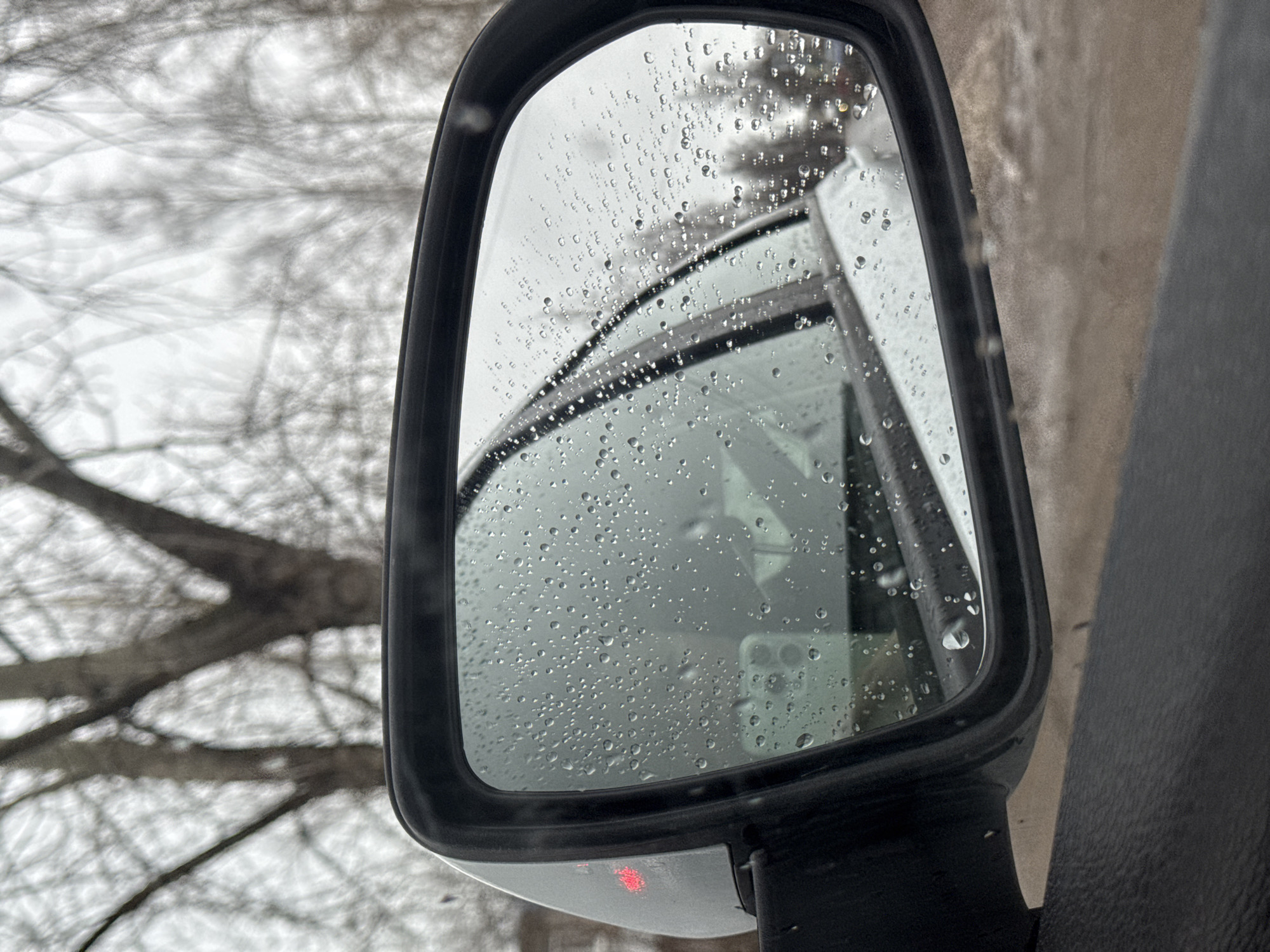 The image shows a side mirror of a car, covered in raindrops. The reflection in the mirror shows part of another vehicle. Outside the car window, bare trees are visible against a cloudy sky. The location is suggested to be Chaikovsky, Russia.