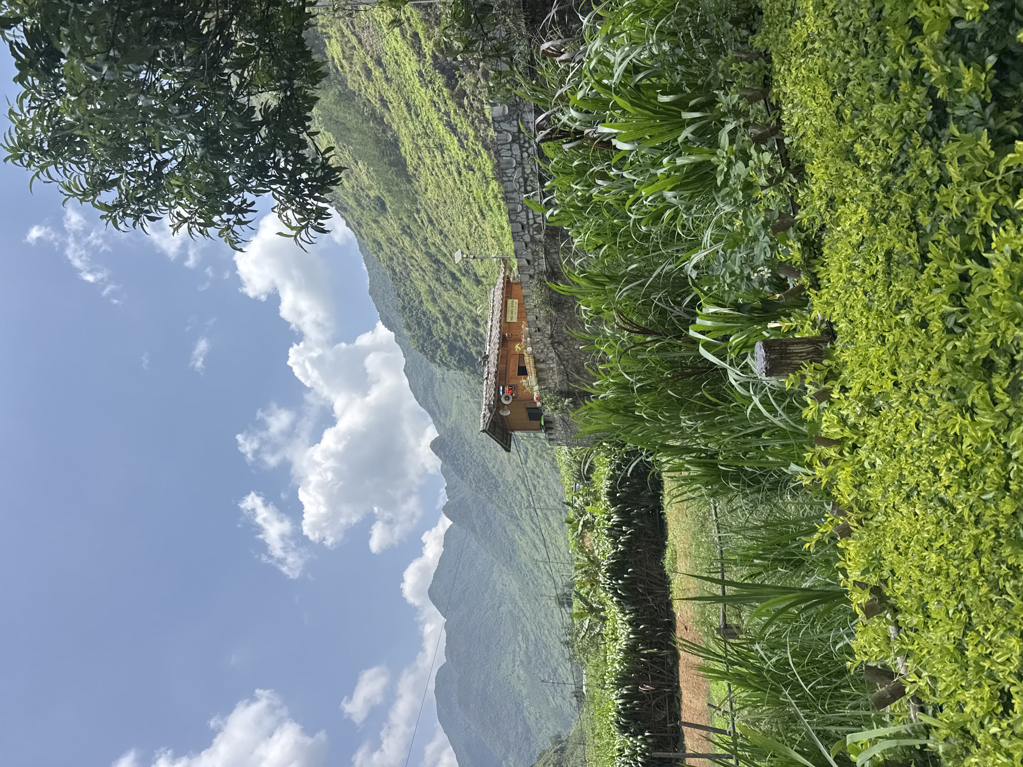 The photograph shows a mountainous landscape under a blue sky with white clouds. Green vegetation covers the mountainside. In the foreground, there are lush green plants. A small building is visible, possibly a house or shelter. The location is Mèo Vạc Commune, Vietnam.