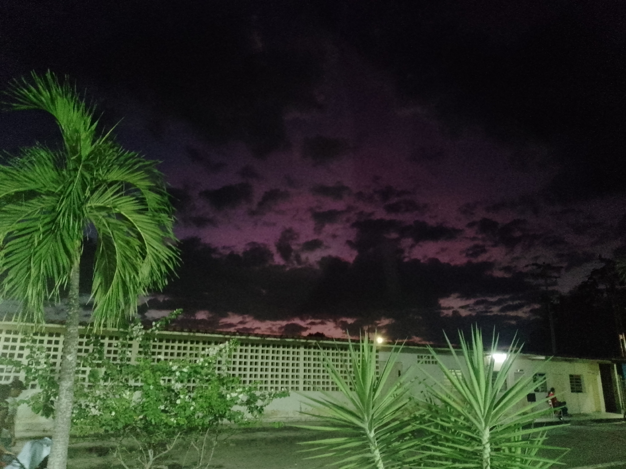 The image depicts a nighttime scene in an urban environment, likely in the city of Unknown, Unknown. In the foreground, a palm tree stands to the left, with other greenery filling the lower portion of the frame. Behind the foliage, a building is visible, distinguished by a facade with a grid-like pattern. The sky above is a dramatic mix of dark, looming clouds and hints of purple hues, possibly from the setting sun or urban light pollution. A light source is present on the building, casting a glow on the surrounding vegetation. The ground appears paved, suggesting an urban setting. Overall, the scene has a tranquil and slightly surreal quality, given the combination of tropical vegetation and urban architecture under a dramatic sky.