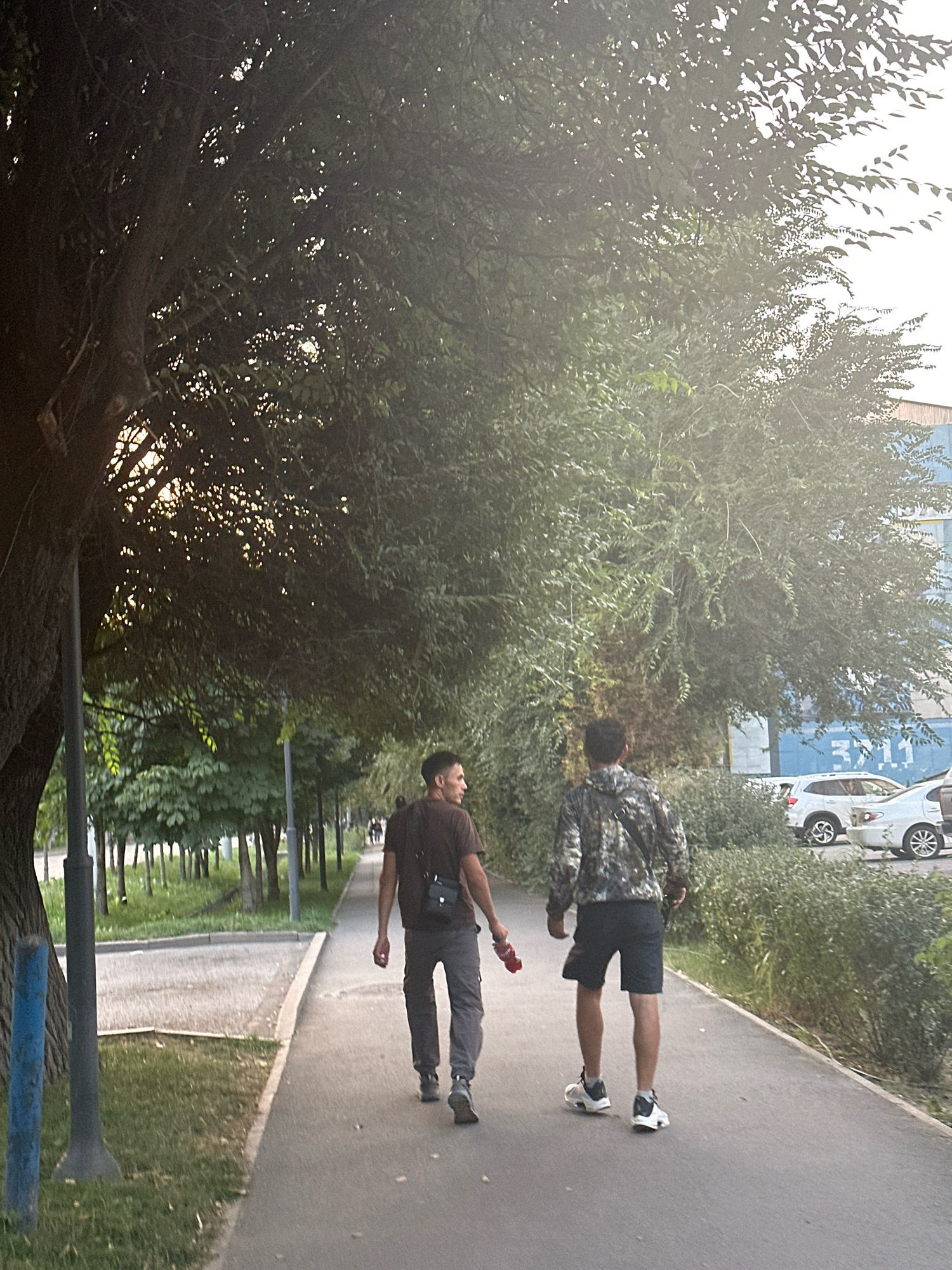 Memory