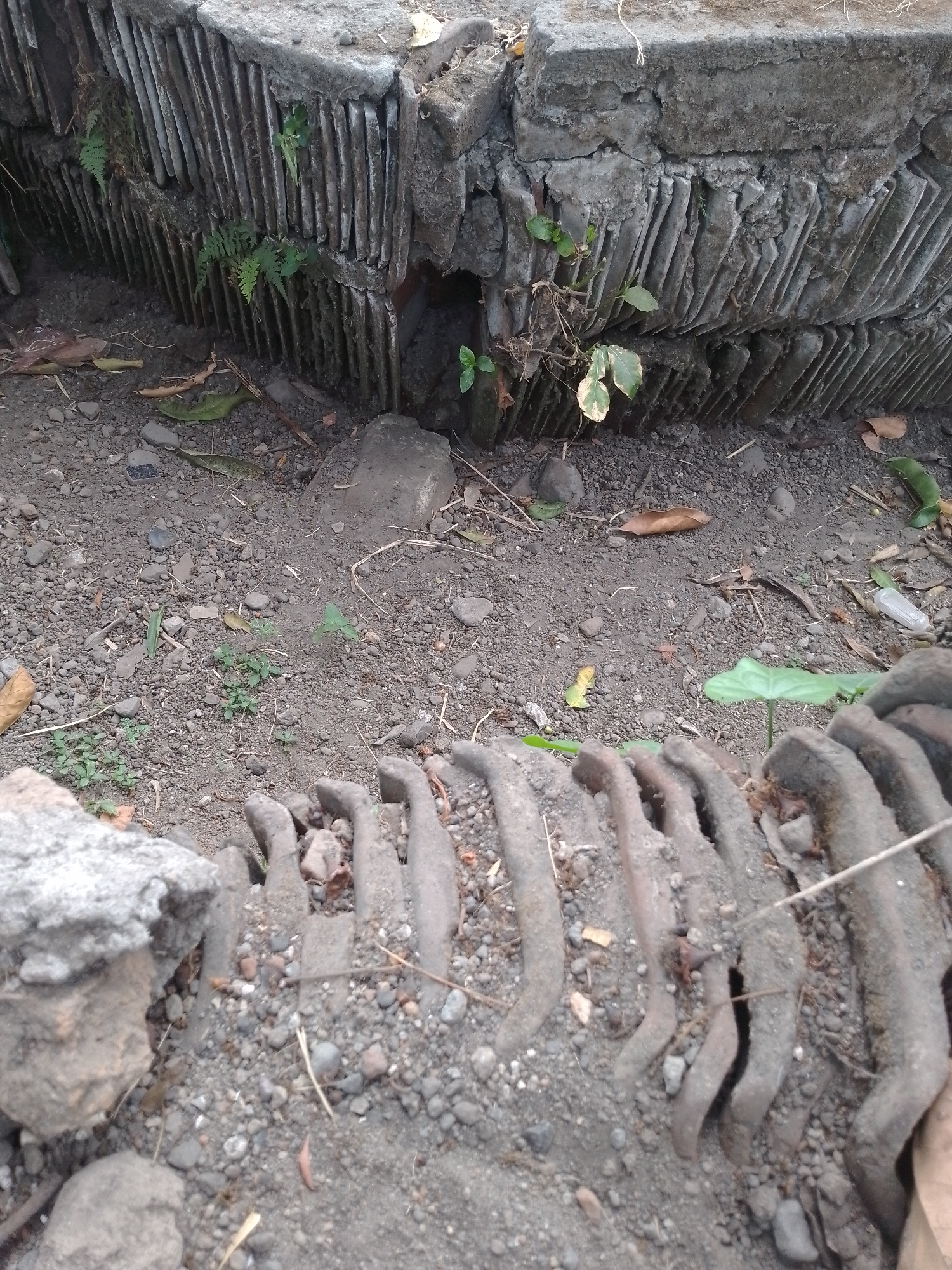 The image depicts an outdoor scene in the city of Kauman, Indonesia. In the foreground, a section of what appears to be a curved, ridged structure made of weathered concrete or stone is visible. The ridges are oriented vertically, giving it a fluted appearance. This structure is partially covered in dirt and small pebbles.
In the background, a larger, more substantial concrete structure is visible. It is composed of stacked rectangular blocks, with a gap or opening at the bottom where several small green plants are growing. The surface of this structure is rough and shows signs of age and weathering.
The ground between the two structures is covered in loose soil, small stones, and scattered dry leaves and twigs. Several small green plants are growing from the ground in various locations. The overall impression is of an outdoor area that is somewhat neglected or naturalized, with vegetation beginning to encroach on man-made elements. There are no people or animals visible in the image. The lighting suggests it is daytime, with diffused light.