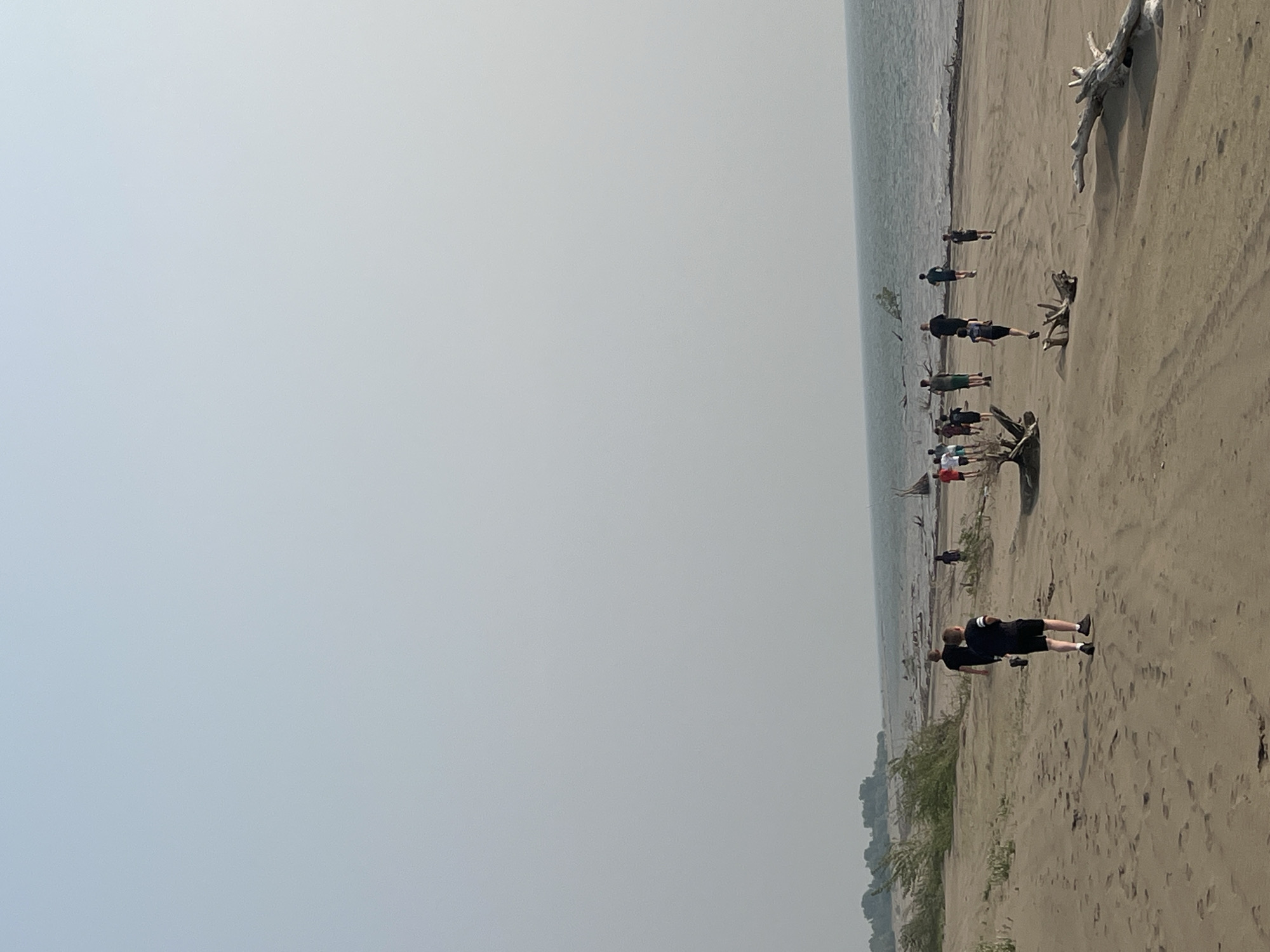 A group of people are walking along a sandy beach next to a body of water. The scene is shot from a slight angle, making the beach appear to run vertically through the frame. In the foreground, two individuals in dark clothing are walking away from the camera. Further up the beach, a line of people are walking in the same direction. The beach is strewn with driftwood. The water is calm and appears to extend to the horizon, which is obscured by a hazy sky. The time of day appears to be daytime, and the weather is overcast. The location is a beach in Krasnoturansk, Russia.