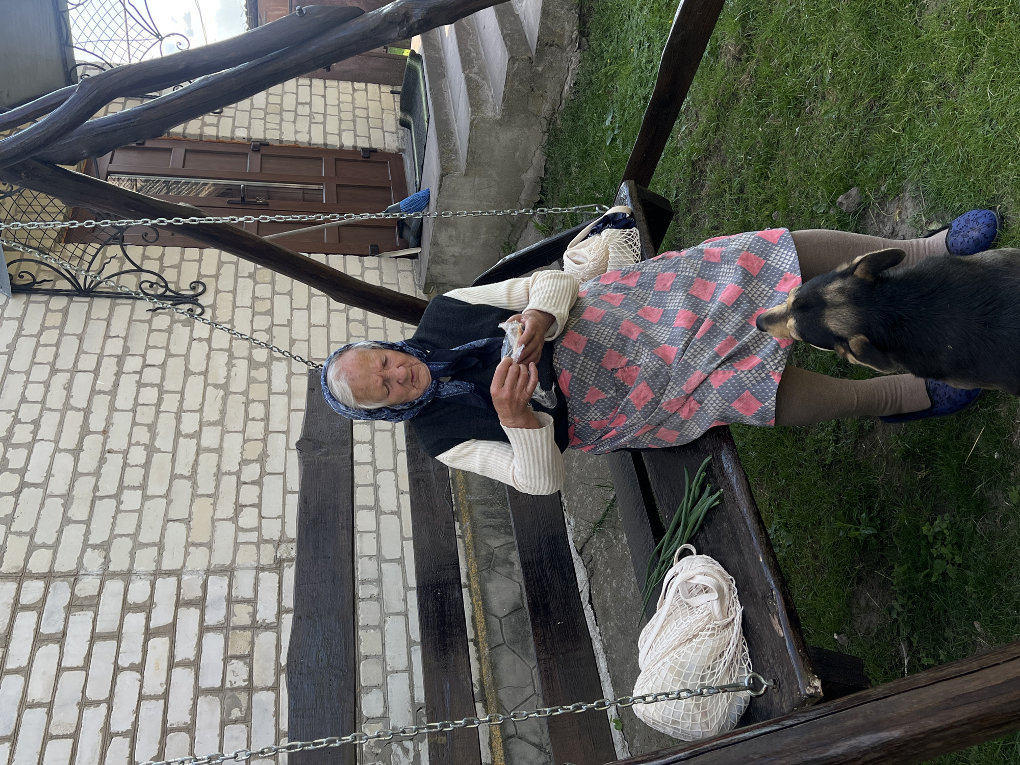An elderly woman with a blue headscarf and a floral apron sits on a wooden swing in the yard of a house in Vertelka, Ukraine. She is holding a small object in her hands and appears to be examining it. A dog stands on the grass in front of the swing, looking up at the woman. To the left of the woman on the swing is a white net bag and a bunch of green onions. The swing is made of dark wood and is attached to a frame of rough-hewn logs. Behind the swing is a brick house with a brown door. The ground is covered in grass and dirt. The sky is overcast.