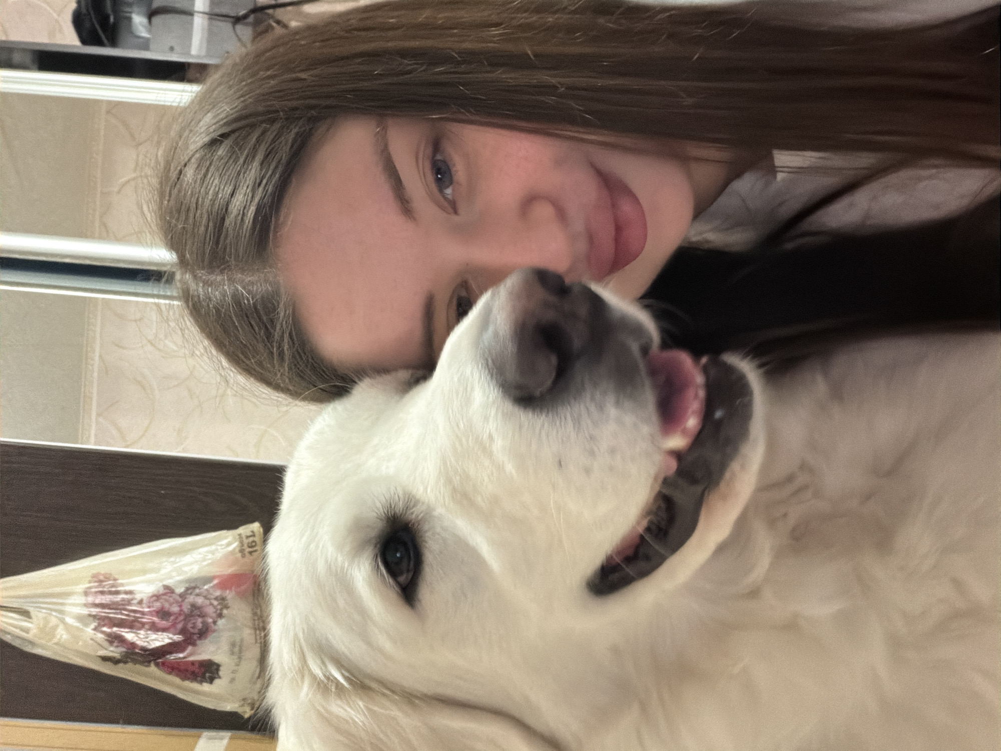 A medium close-up selfie features a young woman and a large white dog. The woman is on the right side of the frame, facing slightly towards the left, with her hair down. Her lips are slightly parted, and she appears to be smiling. The dog, on the left, is a Great Pyrenees breed. Its head is close to the woman's face, and it's also looking towards the camera with its mouth open, tongue visible. In the background, a white plastic bag with a floral print hangs from what appears to be a cabinet or door. The overall lighting is soft and appears to be indoors. The setting is indistinct, suggesting a domestic environment, possibly a home.