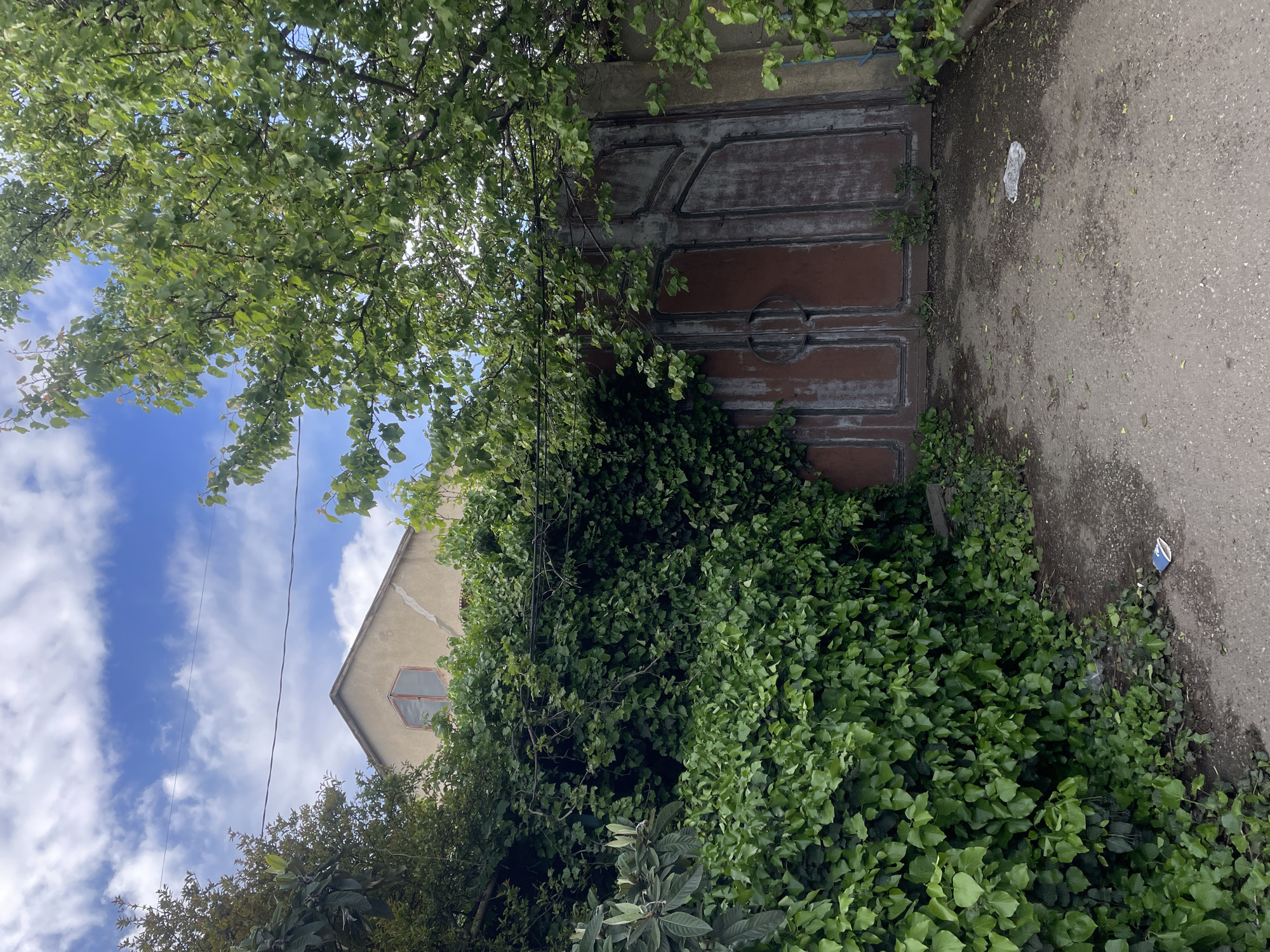 The image shows a weathered building in Tbilisi, Georgia. The building has a beige facade with a red-framed, arched window. A dense growth of ivy covers a significant portion of the facade, obscuring its details. In front of the building is an old, rusty metal gate. A leafy tree overhangs the gate. To the right of the gate, the paved ground is littered with leaves and a piece of trash. Above the building, a clear sky is visible with scattered clouds and a few electrical wires.