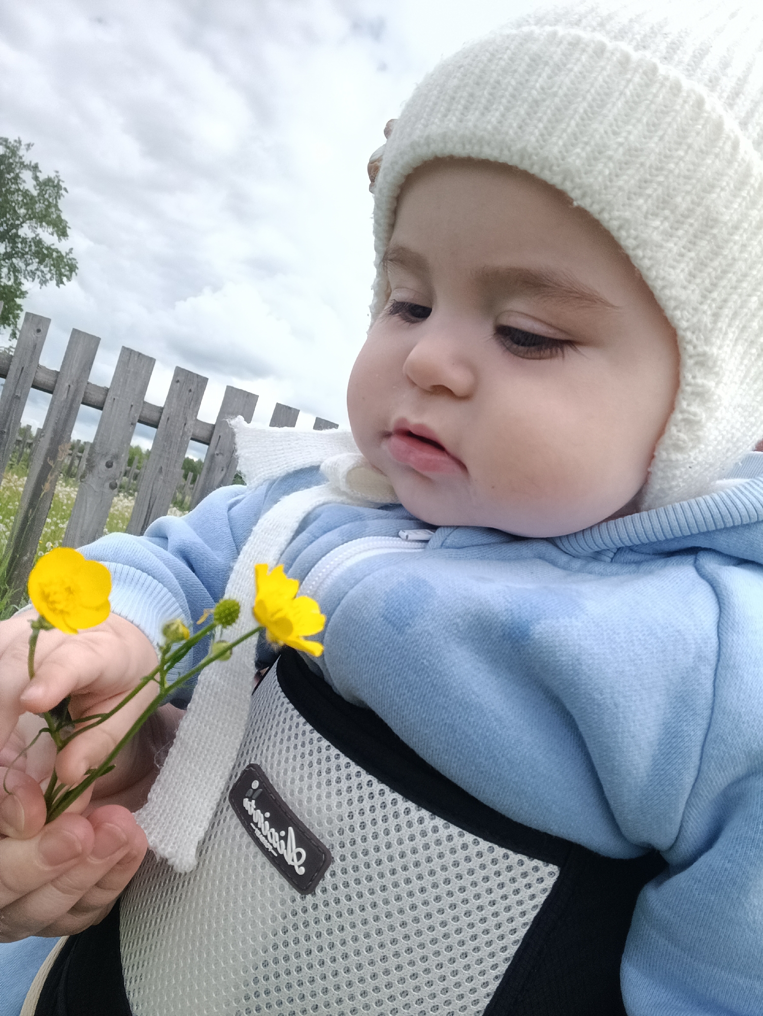 A baby in a white knitted hat and a light blue hooded jacket is holding two yellow flowers. The baby is secured in a white and black baby carrier. In the background, there is a wooden fence and a cloudy sky. The location is identified as Jelpachiha, Russia.
