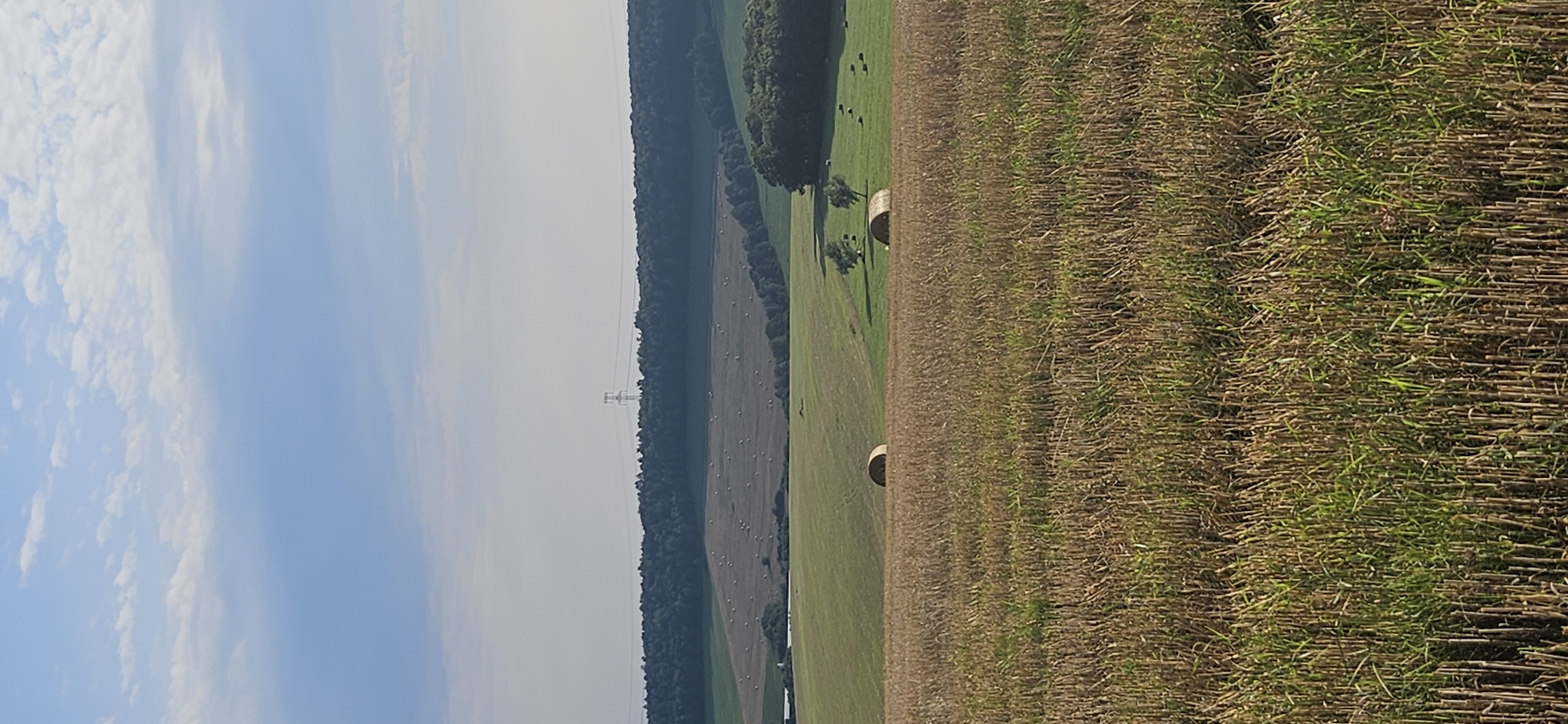 The image depicts a rural landscape, likely in Beňadikovce, Slovakia, under a partially cloudy sky. In the foreground, a field of harvested crops, appearing as stubble and some regrowth, occupies the lower half of the frame. Two large, round bales of hay are visible in the mid-ground, one partially obscured by the harvested field, and another on a grassy slope. Further in the distance, a gently rolling landscape is dotted with more hay bales scattered across fields. A dense line of dark green trees forms a prominent horizon, behind which a tall, modern electricity pylon stands silhouetted against the lighter sky. The overall impression is one of agricultural activity and natural countryside.