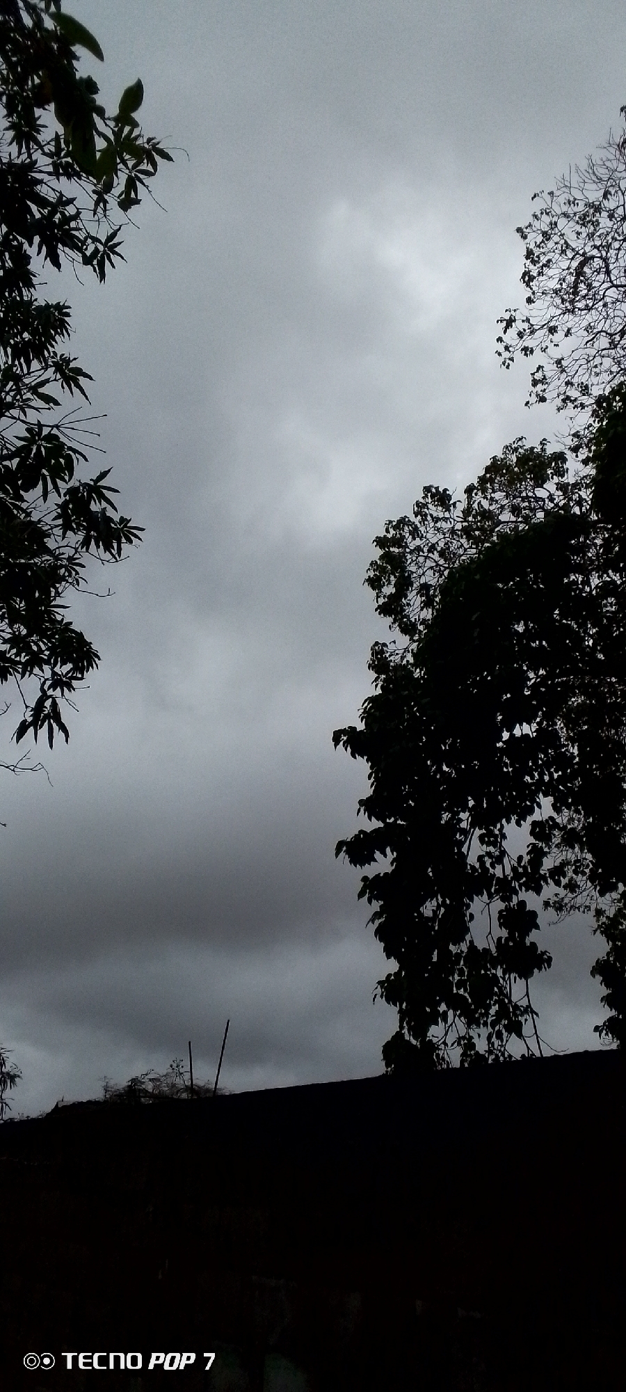 The image shows a cloudy sky with silhouetted trees in the foreground. In the bottom left corner, the text "TECNO POP 7" is visible, indicating this is likely a photo taken with a Tecno Pop 7 phone. The scene appears to be outdoors, possibly on a rooftop or elevated area, with a dark, low wall or structure running horizontally across the bottom of the frame. Two thin, vertical poles are visible above the wall, sticking out into the cloudy sky. The overall atmosphere is somber due to the overcast conditions and the dark silhouettes. The location is specified as Altagracia, Venezuela.