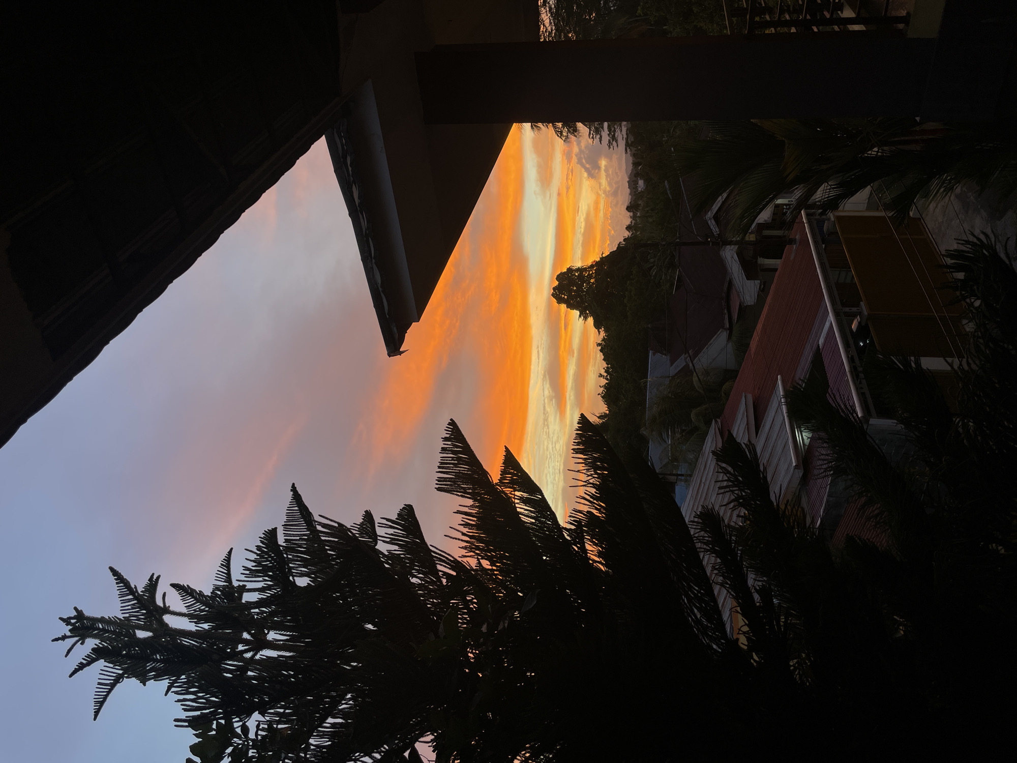 This image depicts a sunset in Manado, Indonesia. The sky is filled with vibrant orange and pink hues, indicating the sun is setting. In the foreground, a dark silhouette of a pine tree is visible on the left, with its needles sharply defined against the colorful sky. On the right, a portion of a building's roof and a pillar are also silhouetted, framing the sunset. Below the sky, a residential area is visible with houses featuring red tile roofs. The overall scene suggests a peaceful evening in a suburban or semi-urban environment within Manado.