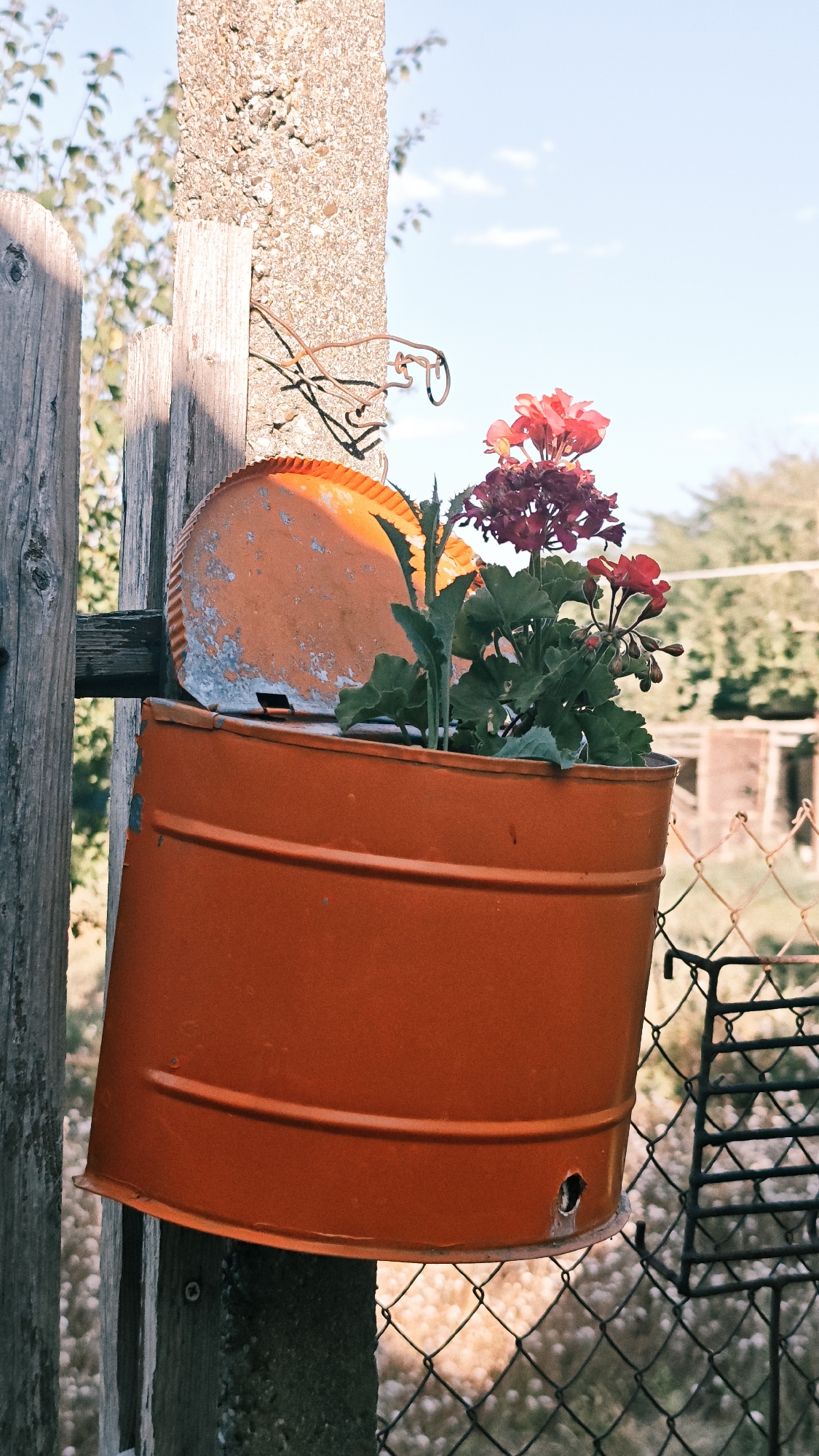 An orange metal bucket planter filled with red flowers and green foliage hangs from a rough concrete post secured to a weathered wooden fence. The bucket is tilted and appears to be hanging from a wire loop. A round, orange lid is propped against the top of the bucket, showing signs of wear and chipping paint. In the background, a wire fence and trees are visible under a bright sky with sparse clouds. The scene suggests an outdoor setting, possibly a garden or yard, in the city of Popovo, Bulgaria.