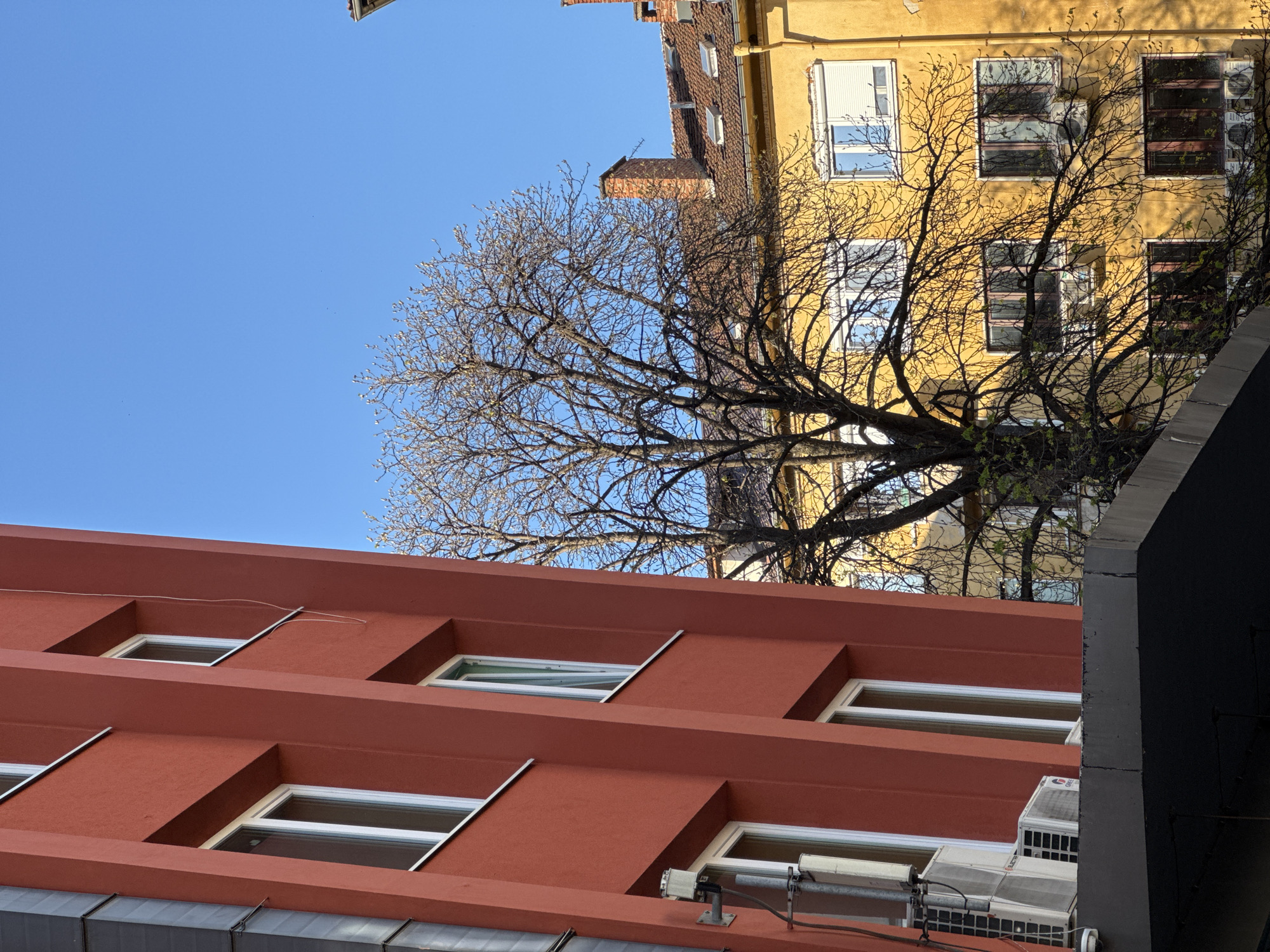 The image shows a view of buildings in Sofia, Bulgaria. The buildings are a mix of architectural styles. One building is painted a reddish-brown and has rectangular windows recessed into the facade. Another building is yellow and features more traditional windows. A bare tree is positioned in front of the yellow building. The sky is blue. There are no people visible in the frame. The photo appears to be taken from a low angle, looking up at the buildings. There are air conditioning units on the red building. A dark gray or black element is on the right side of the frame, partially obscuring the view.