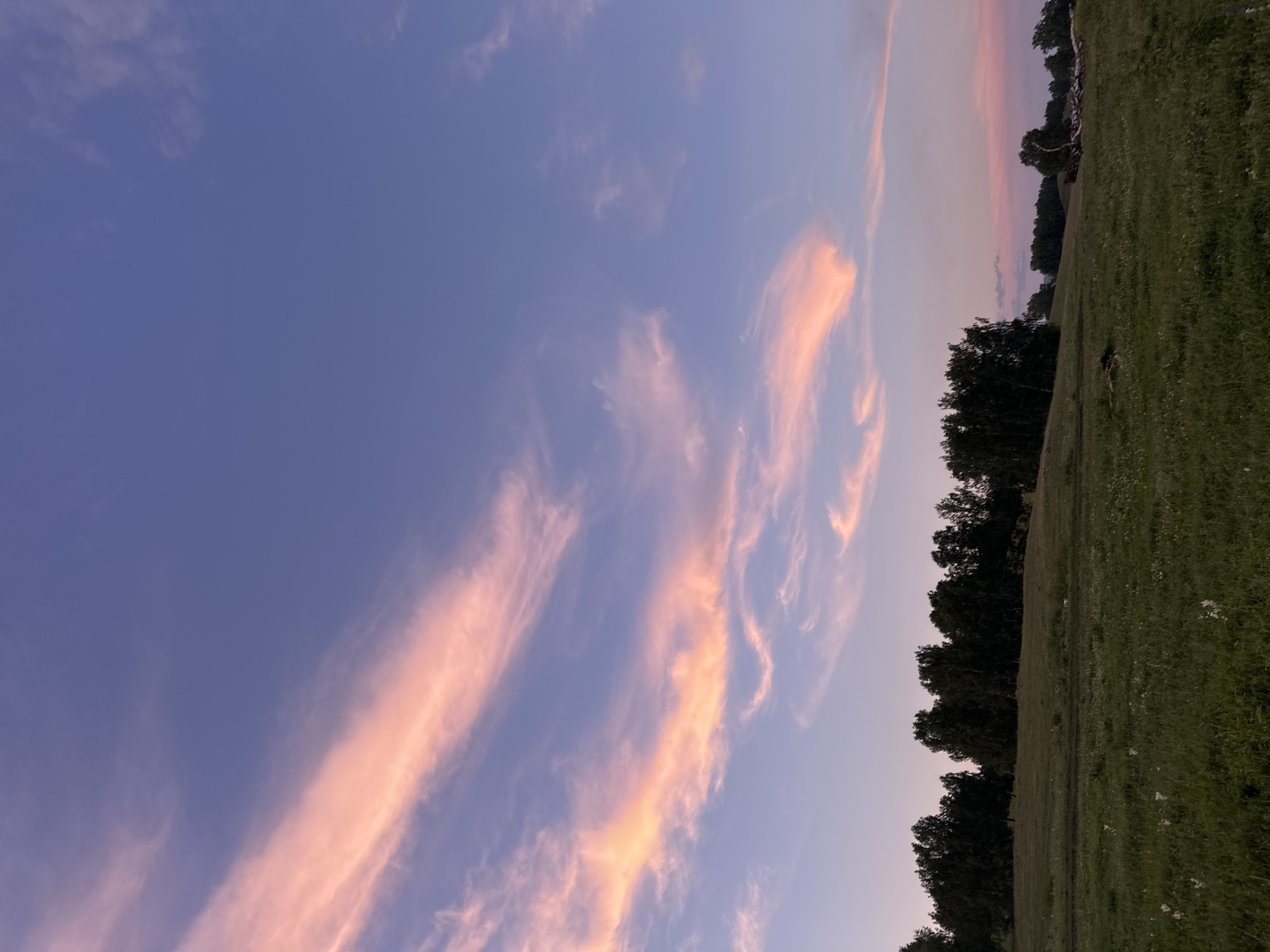 The image depicts a serene, pastoral landscape at dusk. The sky is a gradient of soft blues and purples, with wispy clouds painted in hues of pink and orange, suggesting the setting sun. Below the sky, a dark line of trees forms a silhouette against the horizon. To the right of the trees, a green, grassy field slopes gently upwards, dotted with small white wildflowers. The overall impression is one of tranquility and the quiet beauty of nature at the end of the day. There are no visible people or objects that would indicate a specific activity or event. The lack of clear geographical markers makes the location ambiguous, but the presence of trees and a grassy field suggests a rural or natural setting. The soft lighting and the muted colors evoke a sense of peace and calm.