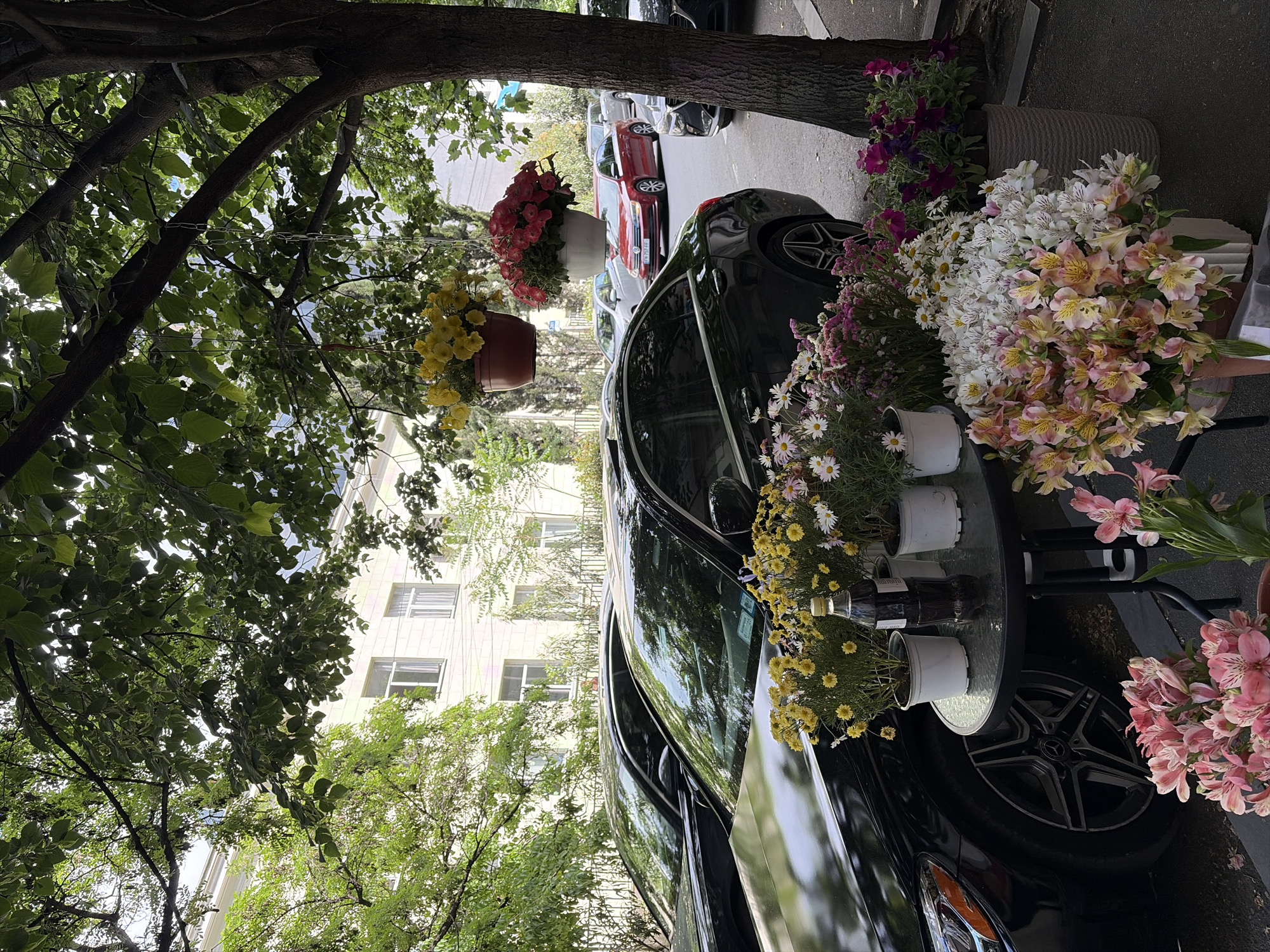 A street-level view in Tbilisi, Georgia, showcases a black car parked along the roadside. A variety of flowers are displayed on a small table near the car, including daisies, alstroemeria, and other colorful blossoms in pots. Other cars are parked along the street in the background. Foliage from nearby trees partly obscures the view of a building in the distance.