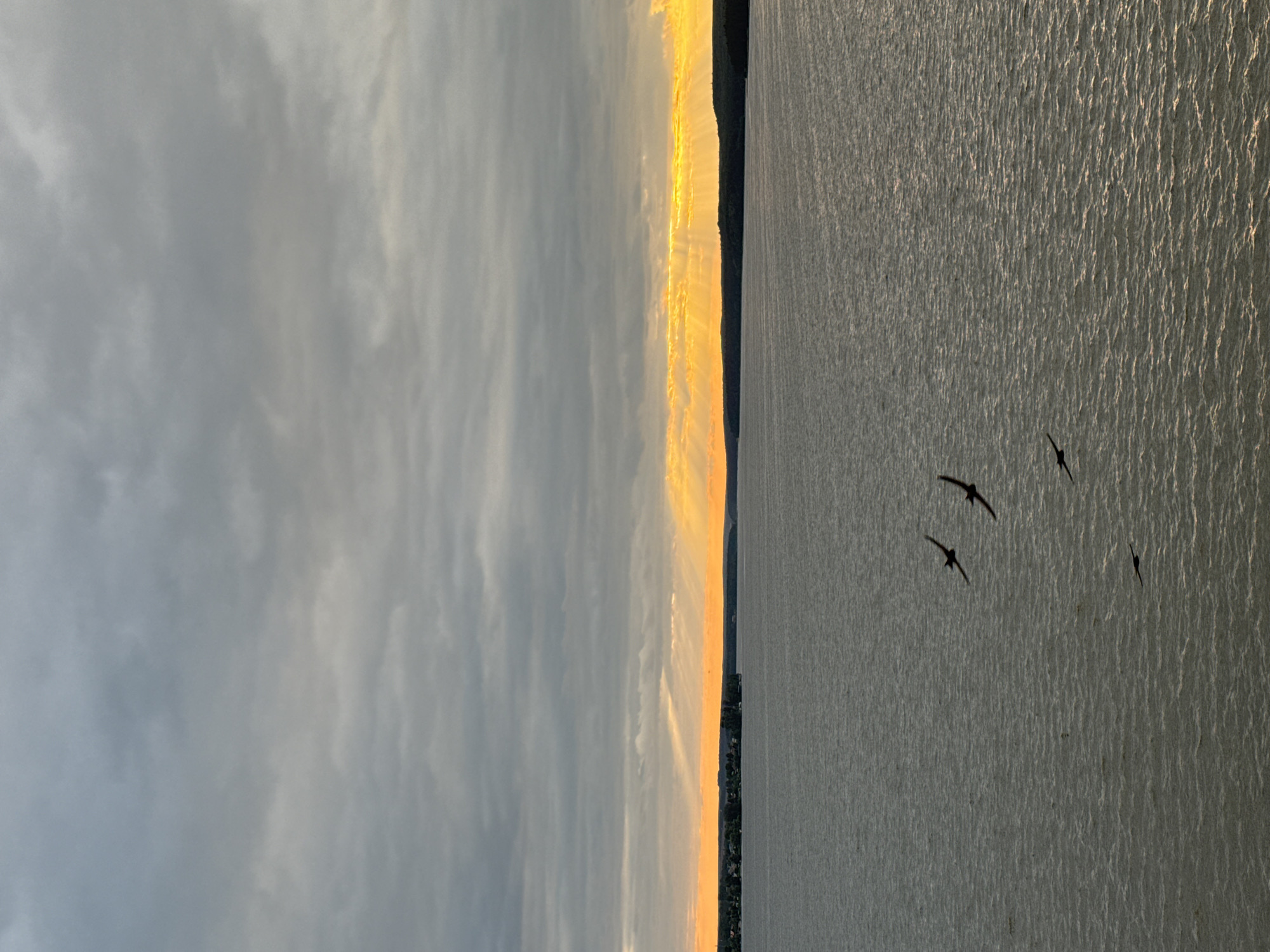 The image captures a serene sunset over the Kama River in Votkinsk, Russia. A band of golden light emanates from the horizon, piercing through dramatic grey clouds. Silhouetted against the twilight sky, a flock of birds navigates the expanse of the calm water. The distant shoreline is dotted with trees and structures, hinting at human habitation. The overall scene conveys a sense of tranquility and natural beauty.