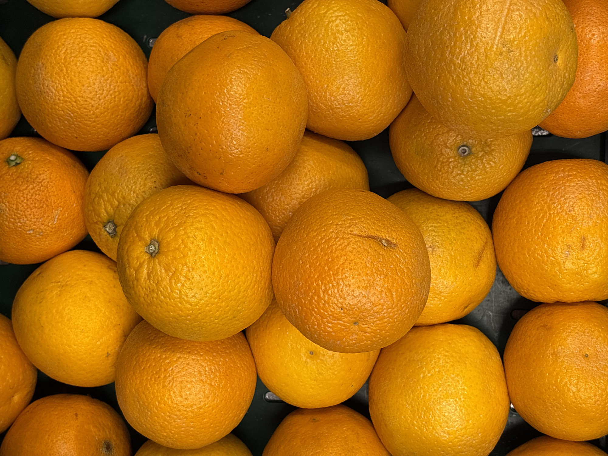This media file is a top-down, close-up shot of a collection of oranges. The oranges are predominantly a bright, vibrant orange color, with some exhibiting slight variations in hue and texture due to their natural skin. They are piled on top of each other, filling the frame of the image. The lighting appears to be artificial or from an overcast sky, as there are no strong shadows and the overall illumination is even. The background is a dark, indistinct surface, possibly a crate or shelf, which helps to make the oranges stand out. There is no visible text in the image. The scene suggests a retail environment, such as a grocery store or market, where the oranges are being displayed for sale. The overall impression is one of abundance and freshness, common in produce displays. The location context provided is Søborg, Denmark, which would indicate this image was taken in that geographical area. No people are visible in the image.
