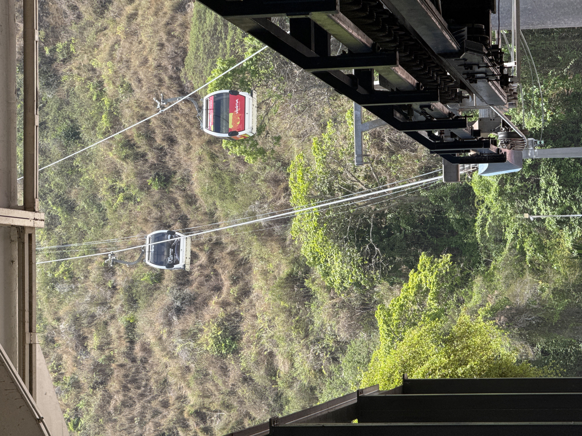 The image depicts the Caracas cable car system, known as the Waraira Repano cable car, in Venezuela. Two cable cars are visible, one with a red and white color scheme and the other with a white and grey color scheme. They are suspended on cables extending across a hillside covered in lush vegetation. The perspective is from an elevated position, likely within or near a cable car station, with structural elements of the station visible in the foreground. A large metal structure related to the cable car system occupies the upper right portion of the image, appearing over the foliage.