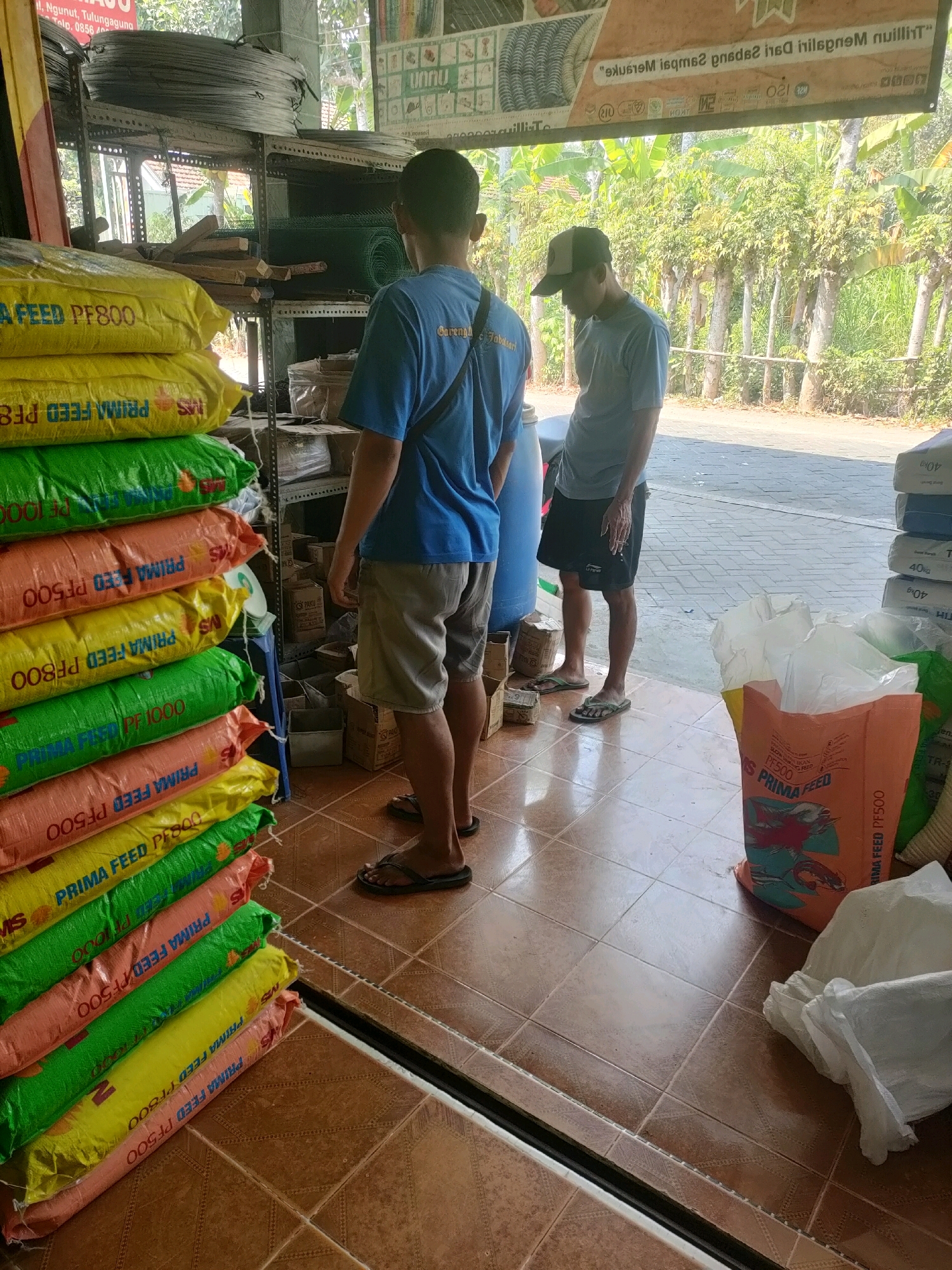 In Sumberingin Kidul, Indonesia, a scene unfolds in what appears to be an outdoor market or store. The foreground is dominated by a stack of large, brightly colored sacks, predominantly yellow, green, and orange, filled with what looks like animal feed, as indicated by the text "PRIMA FEED PF500" and "PRIMA FEED PF1000" visible on some of them. Two men are present. One, wearing a blue t-shirt and grey shorts, stands facing away from the camera, his back towards the viewer, looking at the sacks. The second man, wearing a grey t-shirt and black shorts, stands with his back also mostly to the camera, looking down and slightly to his left. The ground is tiled with brown, square tiles. In the background, shelves are visible, stocked with various items including rolls of green mesh fencing and what appear to be spools of wire. Beyond the shelves, trees and foliage are visible, suggesting an outdoor setting. A large blue barrel or tank is also present to the left of the second man. The overall impression is one of commerce and storage in a somewhat rustic environment.