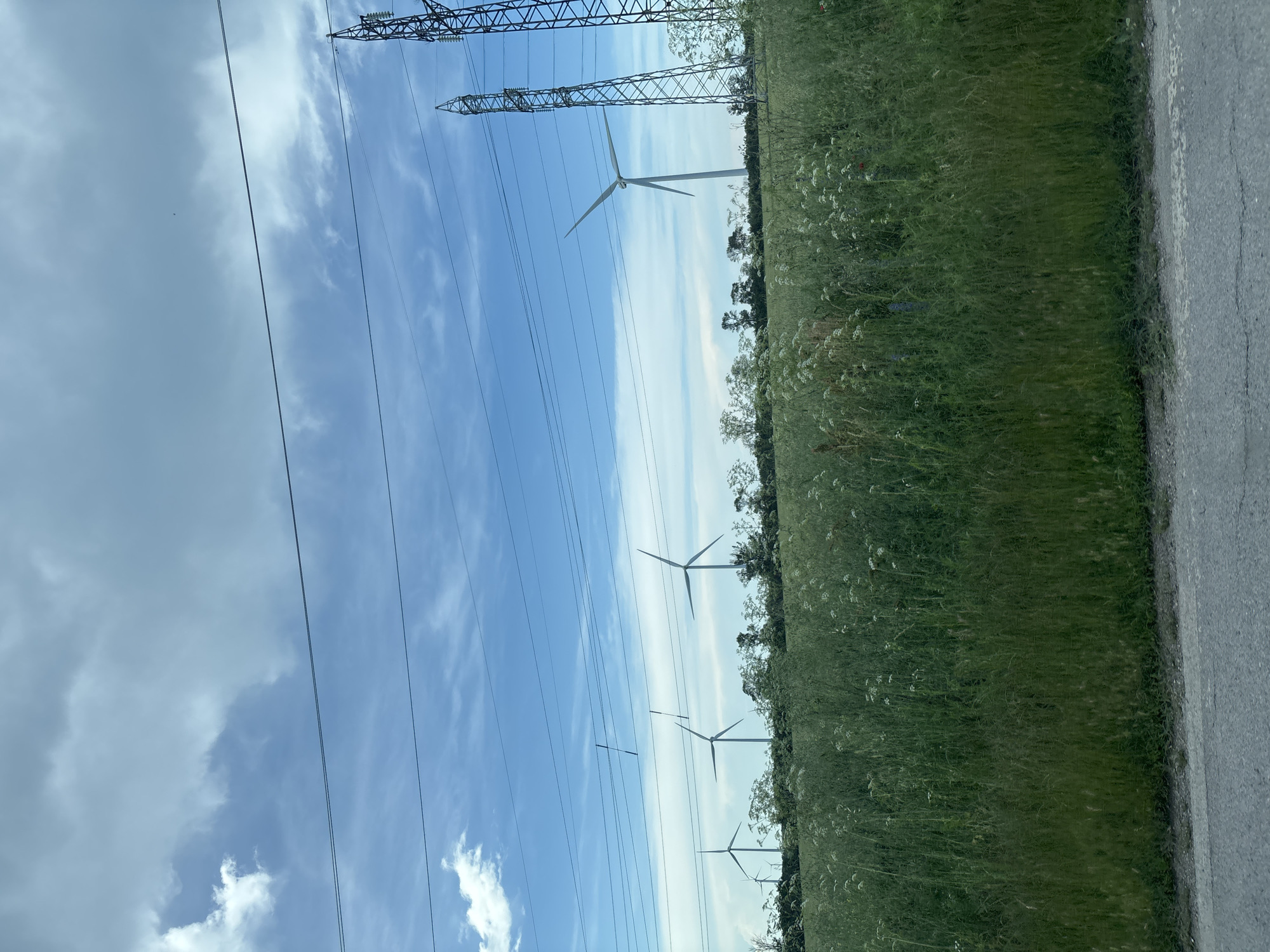 A wide shot captures a field of tall, green grass with scattered white wildflowers and a few red poppies. In the background, a line of wind turbines stands against a blue sky dotted with white clouds. Several tall, lattice-like electricity pylons are visible to the right. Power lines stretch across the frame, crisscrossing in front of the wind turbines and pylons. The bottom of the image shows a grey asphalt road. The scene appears to be an open, rural landscape, possibly in the vicinity of Kavarna, Bulgaria, given the presence of wind turbines and power infrastructure often found in such areas. There are no people or animals in the image.