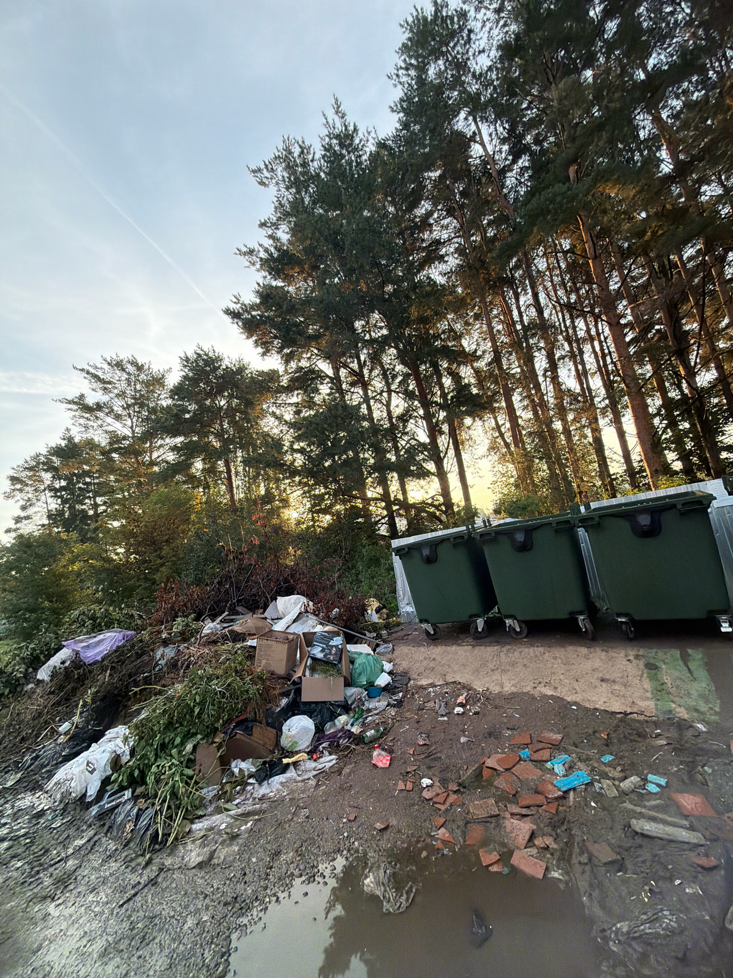 A scene of environmental neglect is depicted, featuring a large accumulation of garbage and debris next to a row of three dark green dumpsters. The dumpsters are industrial-sized, with wheels, suggesting a commercial or public disposal area. The garbage consists of various items including plastic bags, cardboard boxes, plant matter, and other unidentifiable refuse, spread across muddy ground. Several broken red and blue tiles are scattered on the ground near the dumpsters. In the background, a dense line of tall pine trees stands against a pale sky with a faint contrail. The lighting suggests it is either early morning or late afternoon, with sunlight filtering through the trees, creating a warm glow. The ground is uneven and appears to be a mix of dirt, mud, and possibly gravel, with a large puddle reflecting the sky and surrounding trees. The overall impression is one of an unmanaged waste disposal site encroaching upon a natural environment. This scene could be located at the periphery of the city of Chaikovsky, Russia, where urban waste management infrastructure meets natural woodland.