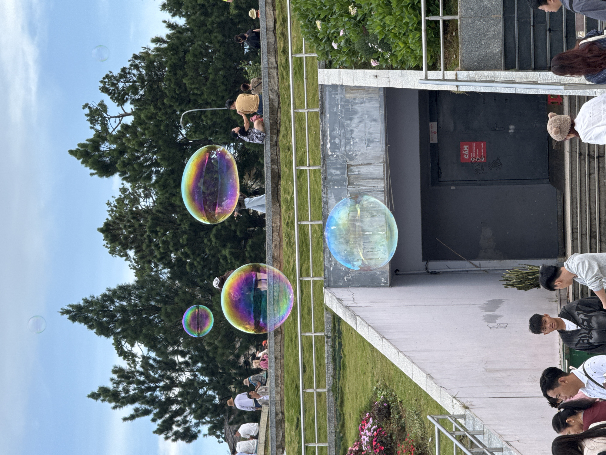 The image shows a view of the Da Lat Flower Garden in Da Lat, Vietnam, on a bright, cloudy day. Several large, iridescent bubbles are floating in the air. In the foreground, a group of people are visible, some standing and some walking down a staircase. One person in the foreground is wearing a light-colored hoodie with a dark graphic design. Behind them, a dark double door with red signage is visible, leading into a building. Steps ascend to the left of the door. In the middle ground, people are seated on a low wall above a grassy slope with white railings. Behind them, lush green pine trees are abundant. In the background, more pine trees and a bright blue sky with scattered clouds complete the scene.