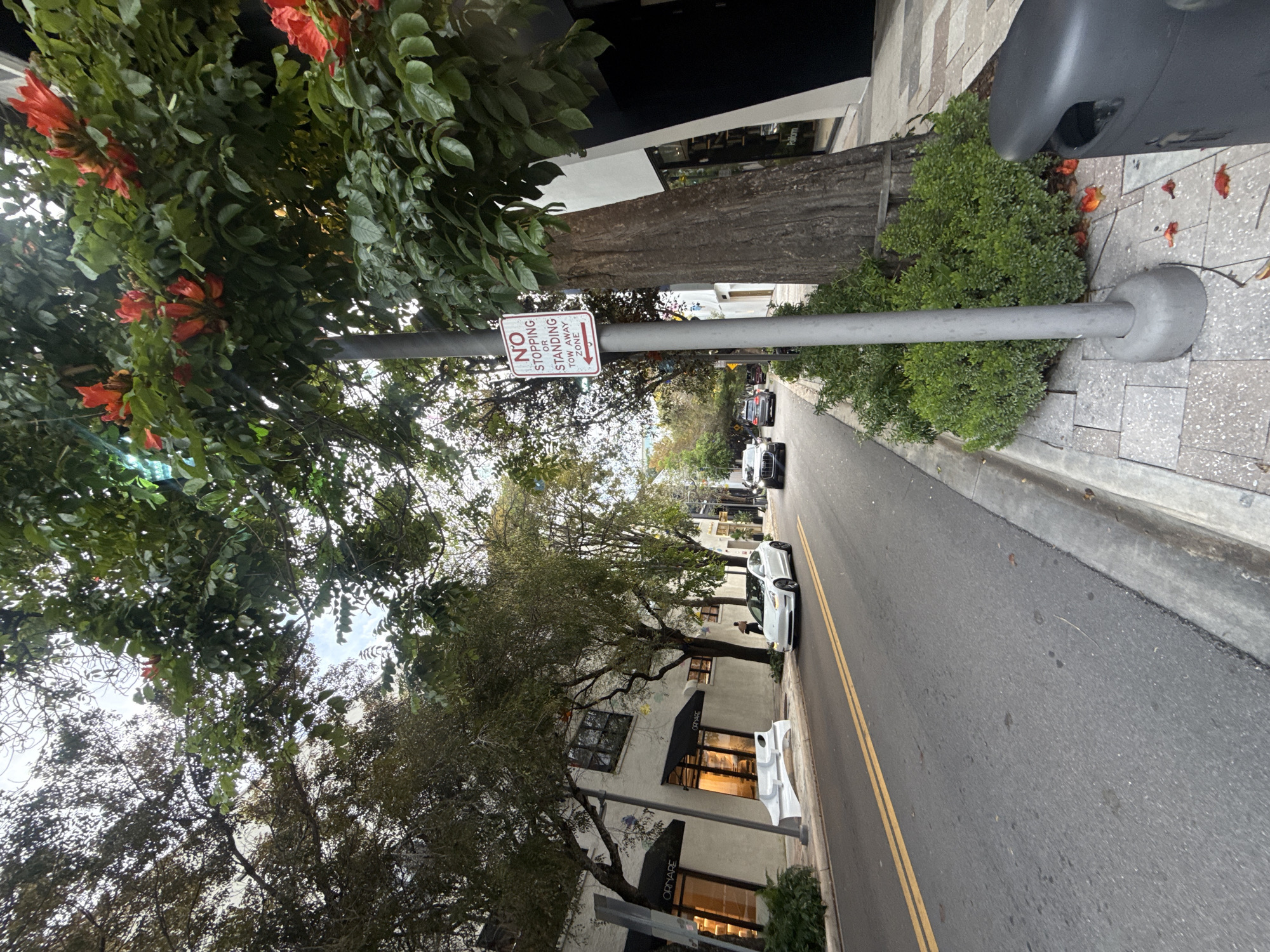 The image depicts a street view in Miami, Florida, United States. A "No Stopping or Standing Tow Away Zone" sign is affixed to a gray pole. The street is lined with trees, some with bright red flowers, and buildings. Cars are parked along the side of the road. The road itself has double yellow lines down the center. A trash receptacle is partially visible on the right. Storefronts are visible along the buildings.