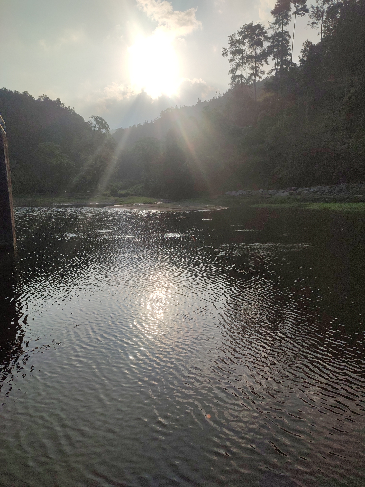 The image captures a serene natural landscape, likely a reservoir or a calm body of water, situated in the vicinity of Joho, Indonesia. The scene is dominated by the presence of a body of dark, rippling water in the foreground, reflecting the bright sunlight filtering through a cloudy sky. The sun's rays create a striking visual effect, beaming down through breaks in the clouds and casting a luminous glow on the water's surface.
The background features a verdant, densely forested hillside that rises from the opposite bank of the water. Tall, slender trees with distinct silhouettes are visible against the sky, suggesting a natural environment. The overall impression is one of tranquility and natural beauty, with the sunlight adding a dramatic and ethereal quality to the scene. No people or specific man-made structures, other than what might be a part of the retaining wall on the left edge, are clearly discernible in the frame. The environment appears to be a natural reserve or a scenic spot likely popular for its picturesque views.