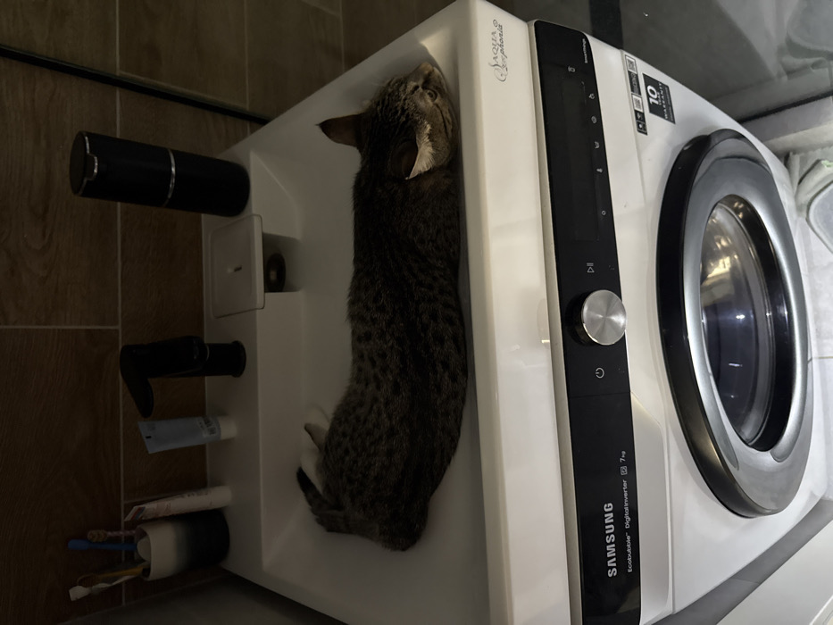 A grey tabby cat lies comfortably in the recessed space atop a white Samsung washing machine. The machine features a black control panel, silver knob, and a round door with a metallic edge. To the left of the cat is a built-in storage unit holding toiletries such as a toothbrush, toothpaste, and hand soap. The bathroom wall behind the unit is tiled.