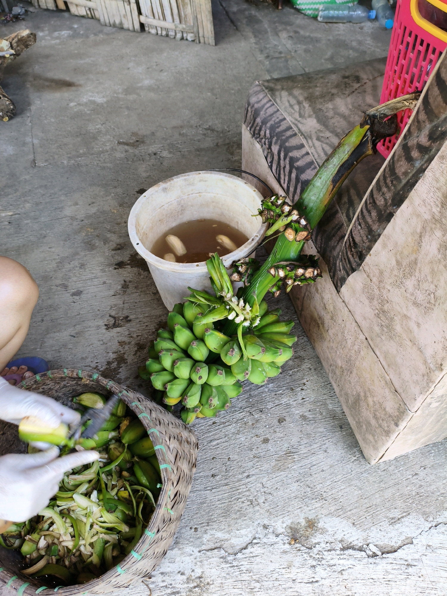 The image captures a scene outdoors on a concrete surface, likely in Karangtalun, Indonesia. In the foreground, a person wearing white gloves is peeling green bananas and placing them into a woven basket filled with banana peels and other organic material. To the right of the basket is a large bunch of green bananas. Behind these, a white bucket contains water and what appear to be partially submerged banana pieces. Further to the right, a section of a textured, possibly upholstered, object is visible, next to a pink plastic basket. In the background, a bamboo structure can be seen. The overall impression is one of food preparation or processing.