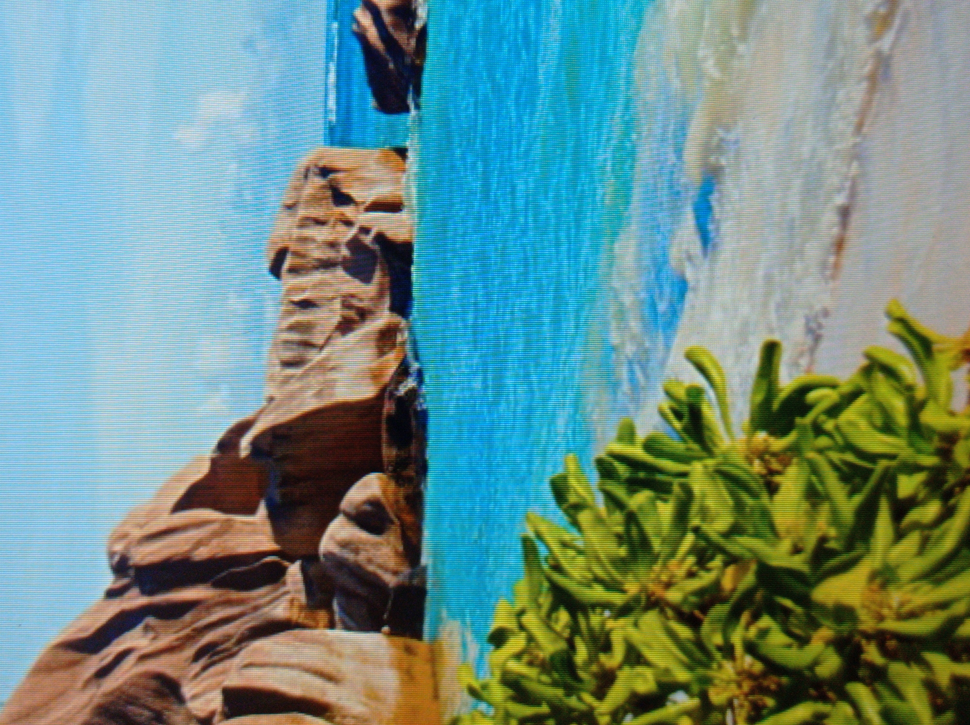 This image depicts a tropical beach scene with large, smooth, reddish-brown rocks on the left, contrasting with the bright blue ocean and white sand. In the foreground, lush green foliage with thick, fleshy leaves is visible. The water is clear and turquoise, with gentle waves lapping the shore. The sky is a pale blue with a hint of clouds. There are no people or animals in the image. The scene is serene and natural. There is no indication that this scene is located in the city of Mukachevo, Ukraine.