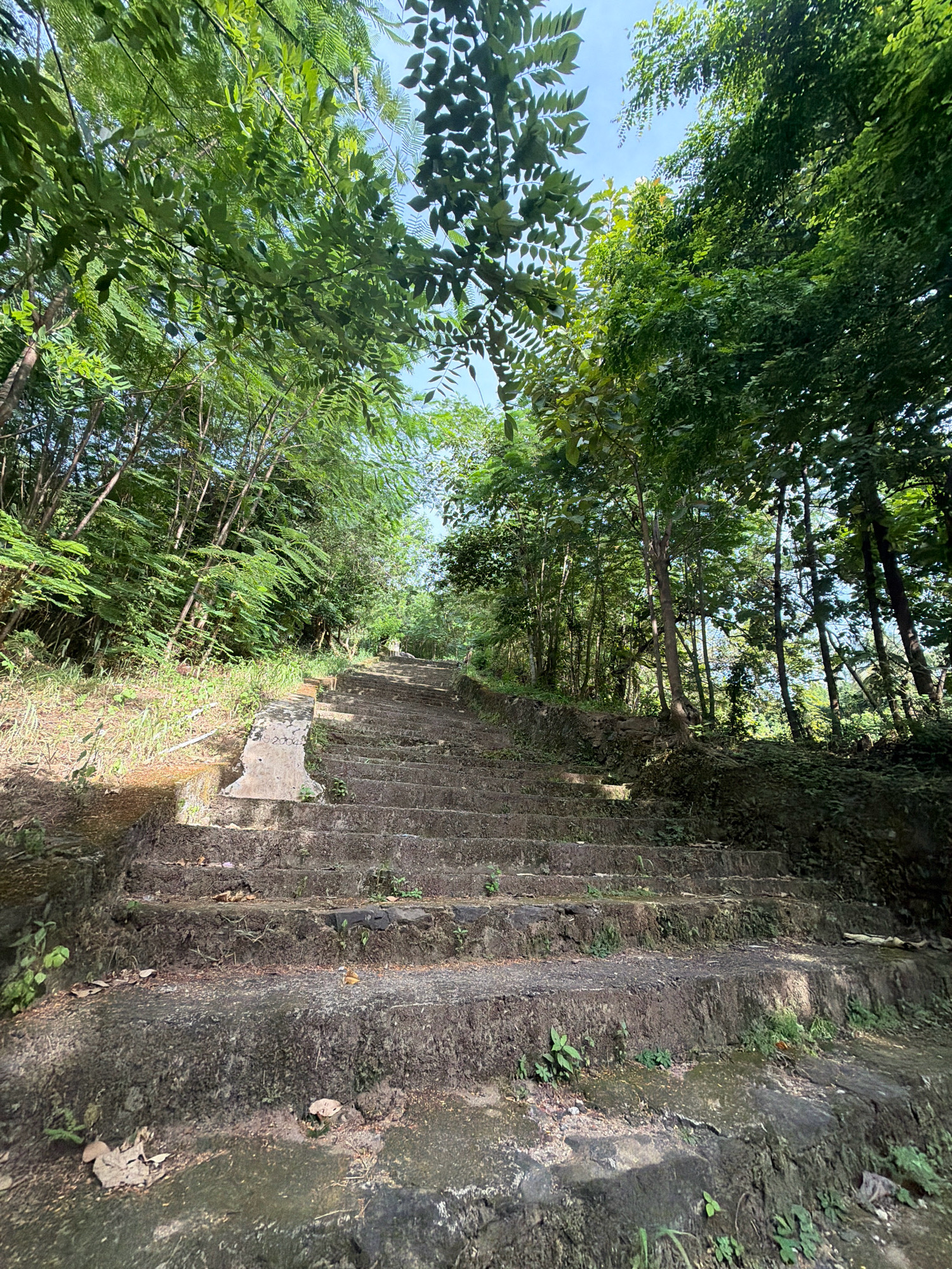 A wide-angle, eye-level shot captures a weathered, stone staircase ascending through a lush, green forest. The stairs, made of large, irregular stone blocks, are covered in moss and have a rough, textured surface. Overgrown vegetation, including grasses and small plants, sprouts from the cracks and edges of the steps.
To the left of the staircase, the ground is a mixture of dry earth, leaves, and sparse grass, with a low, broken concrete barrier bordering the stairs. The forest canopy, dense with various shades of green foliage, arches overhead, filtering sunlight and creating dappled patterns on the stairs. The trees are tall and slender, with branches reaching out and mingling, forming a natural, verdant tunnel. The sky is visible in patches through the leaves, appearing a bright, clear blue.
The staircase leads upwards and out of frame, suggesting a path continuing further into the forest. The overall atmosphere is one of natural beauty, solitude, and perhaps a touch of neglect, hinting at a forgotten or less-traveled route. The scene is devoid of any people or explicit signs of human activity beyond the construction of the stairs themselves. The lighting suggests it is daytime, possibly late morning or early afternoon, given the angle of the sun.
The location is identified as Koorkaparamba, India, a place likely characterized by such natural, verdant landscapes and ancient-looking pathways.