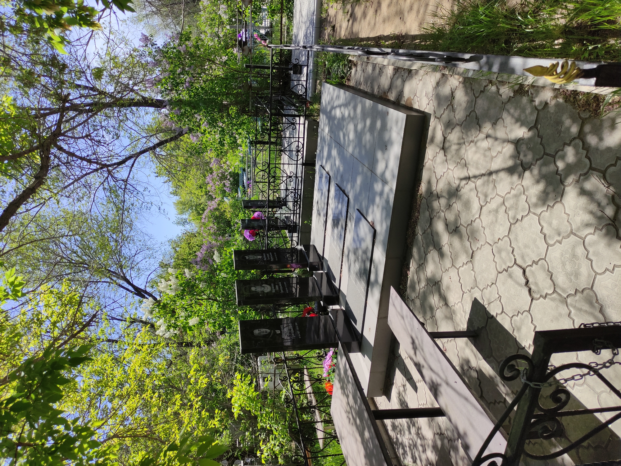 The image shows a cemetery scene in Pavlodar, Kazakhstan. Several dark headstones with portrait engravings are visible, each adorned with flowers and placed behind a black, wrought-iron fence. A concrete bench runs alongside the graves, casting shadows on the patterned paving stones. Trees with green and purple blossoms overhang the area.