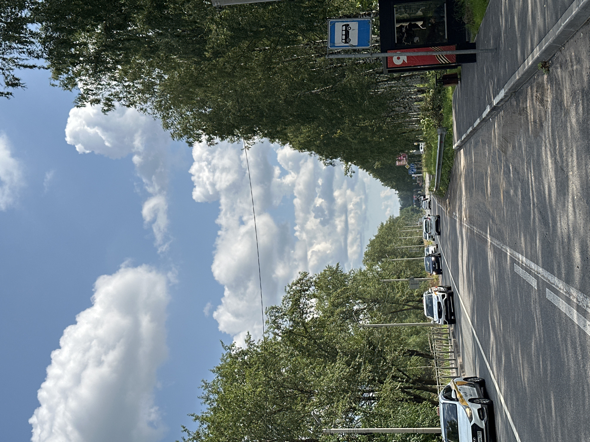 The image depicts a street scene in Vsevolozhsk, Russia, under a partly cloudy sky. The perspective is from the roadway, looking forward. On the left side of the road, there is a white car with yellow accents, appearing to be a taxi, driving in the left lane. Further ahead in the same lane, a white SUV is visible, followed by several other vehicles including a black car and another white car. The right side of the road features a sidewalk with a bus stop shelter. A blue bus stop sign with a white bus symbol is mounted on a pole. Trees line both sides of the street, with a dense arrangement of birch and other deciduous trees on the right, and a line of trees along a metal fence on the left. Power lines are suspended across the road. The roadway has white lane markings. The overall impression is a typical suburban or semi-rural road on a bright day.