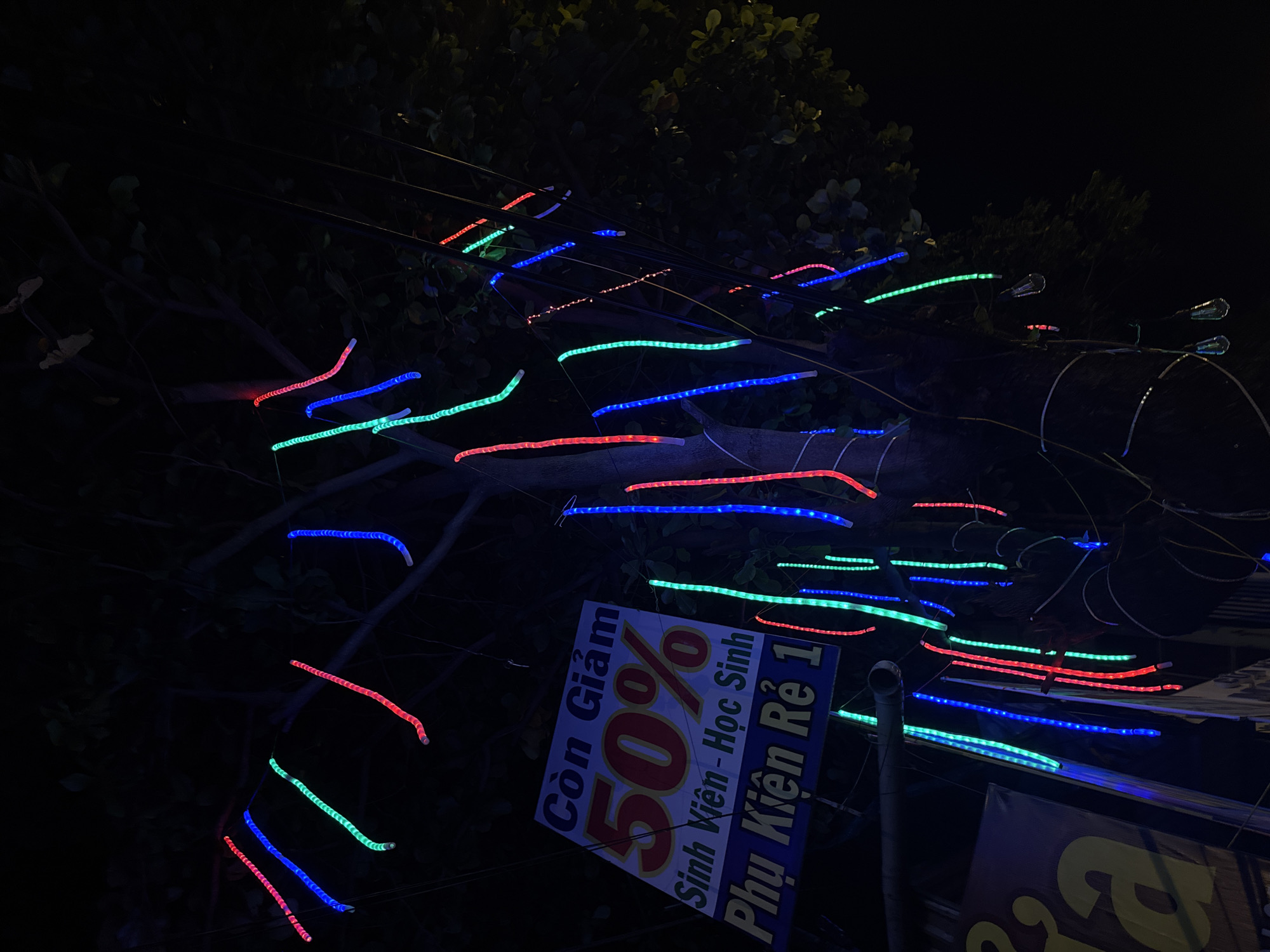 This nighttime photograph, captured in Nha Trang Ward, Vietnam, displays a tree densely decorated with numerous tubular LED string lights. The lights exhibit vibrant red, blue, and green hues, illuminating the tree's branches and a network of overhead wires. In the lower-left quadrant, a rectangular sign is prominent, featuring white and red Vietnamese text on a blue and white background. The sign reads "Còn Giảm 50%" (Still discounted 50%), followed by "Sinh Viên - Học Sinh" (Students) and "Phụ Kiện Rẻ 1" (Cheap Accessories 1). Dark foliage and tree trunks are visible, partially lit by the artificial illumination. Several bare incandescent light bulbs are also suspended from wires in the lower-right portion of the frame. The scene is devoid of people.