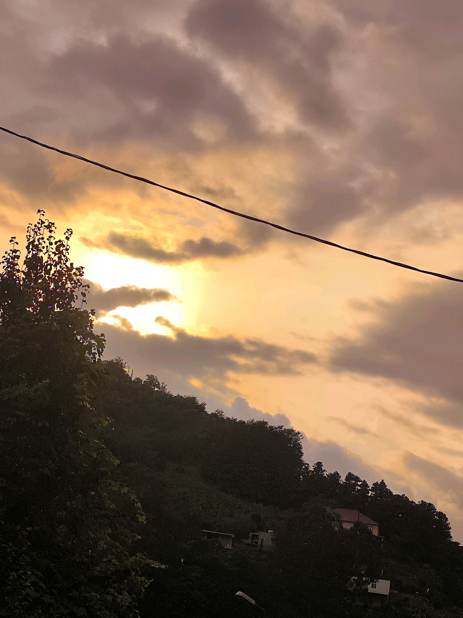 A dramatic sunset is captured over a lush, tree-covered hillside in Batumi, Georgia. The sky is filled with a gradient of warm, golden light peeking through thick, purplish clouds. A dark, diagonal power line cuts across the upper portion of the frame, obscuring some of the sky. The dense foliage of trees dominates the lower half of the image, forming a dark, textured landscape. A few small buildings, including a house with a red roof, are nestled within the trees on the hillside. The scene suggests a rural or semi-rural setting within the city's outskirts, characterized by its natural beauty and understated human presence.