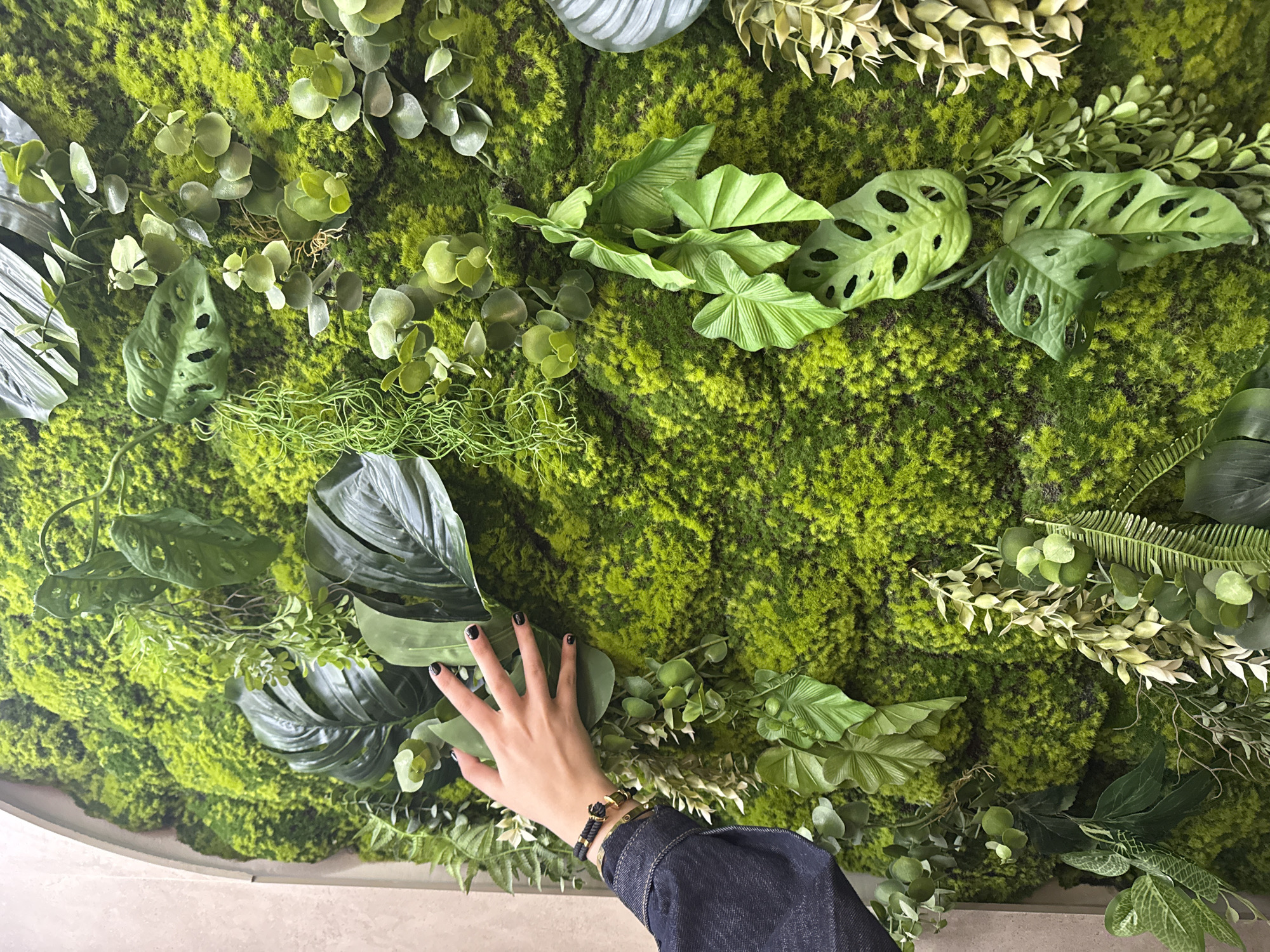 A close-up, elevated shot depicts a section of a green wall interspersed with various plant types. The wall is primarily composed of a dense, vibrant green moss. Several types of plants are arranged within the moss, including broad, glossy green leaves, leaves with distinctive holes, leafy branches with small, rounded leaves, and fern-like foliage. A person's hand is positioned on the lower left side of the frame, partially covering one of the glossy green leaves. The hand, with black nail polish, is adorned with a bracelet. The person wears a denim jacket, part of which is visible in the lower right corner. The background is out of focus. The location is unknown and there is no specific indication that the location is in the city of Yerevan, Armenia.