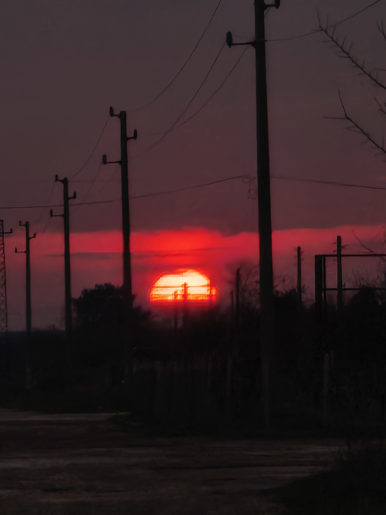The image depicts an exterior scene at twilight or dawn in Slavyanovo, Bulgaria, characterized by an intensely red sky. The dominant feature is a large, bright red sun, partially obscured by the horizon, positioned slightly right of the frame's center. Above and around the sun, the sky transitions from a brilliant red band at the horizon to dark reddish-purple hues overhead. Silhouetted against the sky are multiple utility poles, at least five, equipped with crossarms and overhead wires that traverse the upper portion of the frame. In the midground, a dark, uneven tree line consisting of dense foliage and bare tree branches obscures the lower half of the sun and a portion of the horizon. Against the bright sun, indistinct structures are silhouetted, suggesting buildings or industrial elements. To the far right, a dark, angular structure consistent with a fence or gate is visible. The foreground is dark and shows an unpaved ground surface or dirt road, with no discernible people or explicit actions.