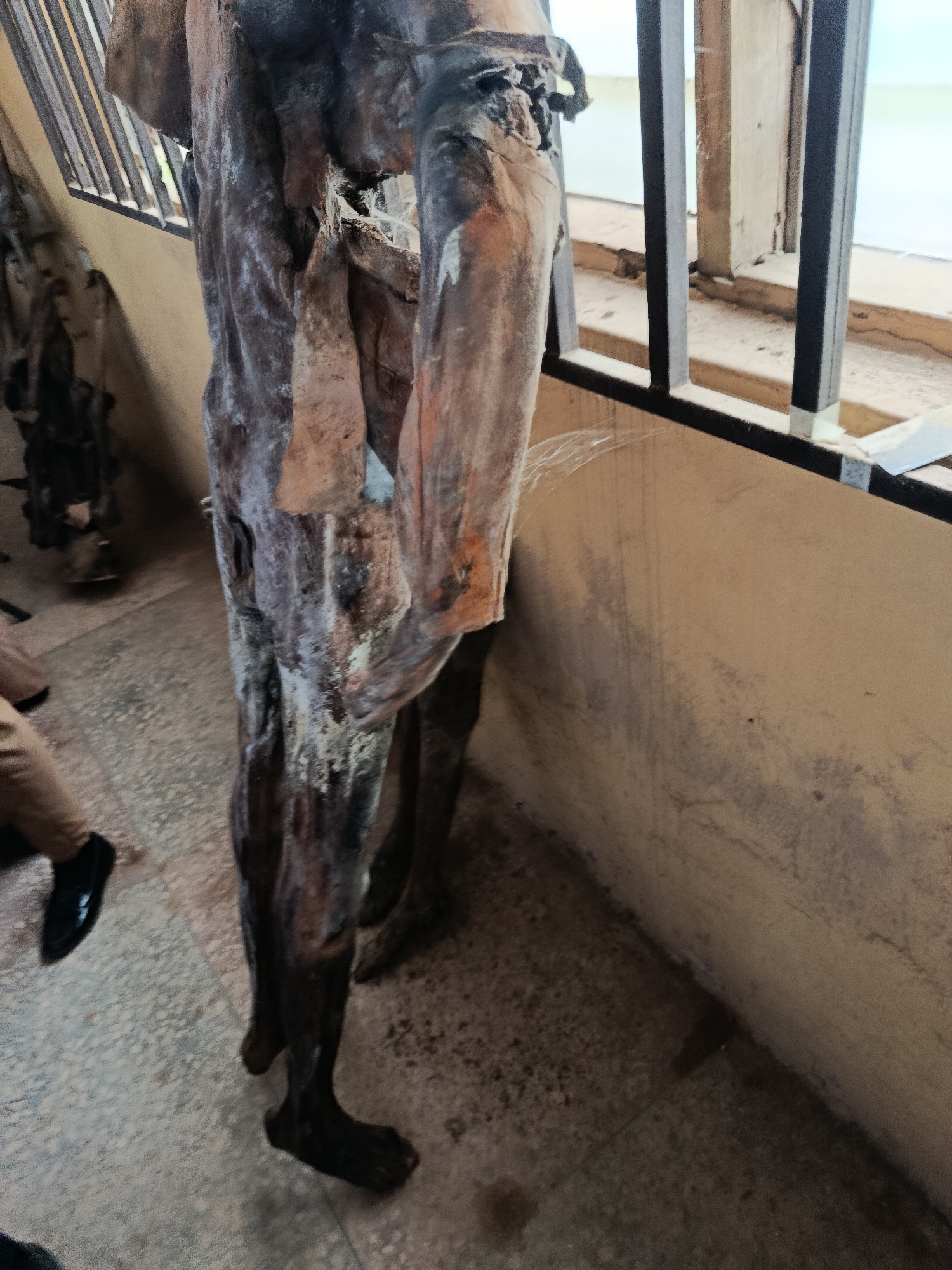 A full-body, vertical shot focuses on the lower half of a humanoid sculpture made of weathered wood. The sculpture is dark brown and grey with patches of white and reddish-brown, and appears to be partially decayed or damaged. It stands on a grey, speckled floor. To the left, a person's legs are visible, wearing tan pants and black, shiny shoes. They are standing to the left of the sculpture. Behind the sculpture and to the right is a cream-colored wall. A black metal railing runs horizontally in front of a window or opening. The background shows a window with pale light visible through the bars, suggesting an indoor or semi-outdoor location.
