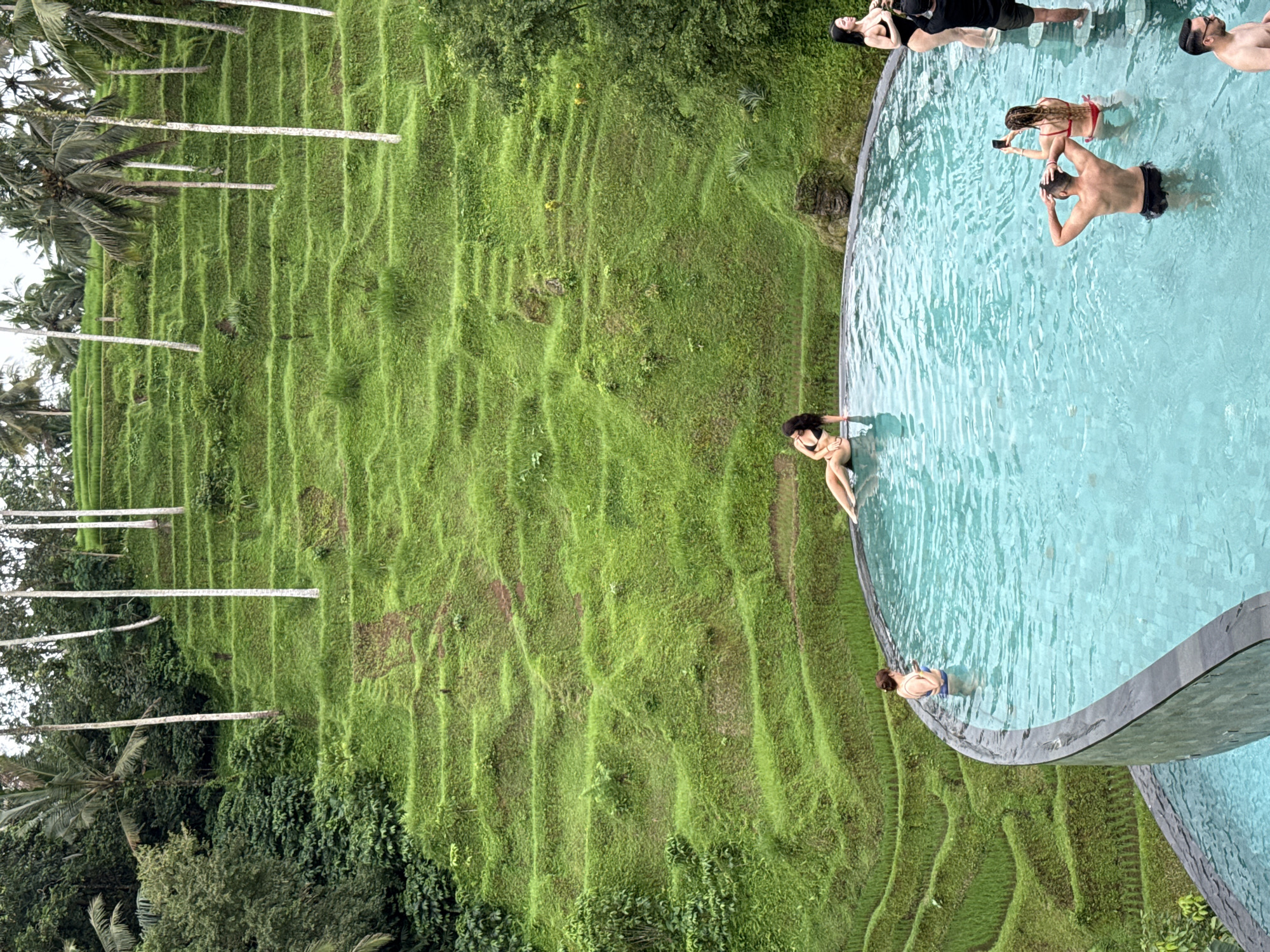 The image shows a scene in Tegallalang, Indonesia. An infinity pool with multiple people in it is positioned at the edge of a lush, green rice terrace. The pool has a dark gray edge. Several people are in the pool, including a person in a red swimsuit holding a phone, a shirtless man with dark hair, and another person partially submerged. One person sits at the edge of the pool, and two people are seen at the top right of the frame. The rice terraces are stepped and covered with dense green vegetation. Tall palm trees are interspersed across the landscape. The sky is overcast.