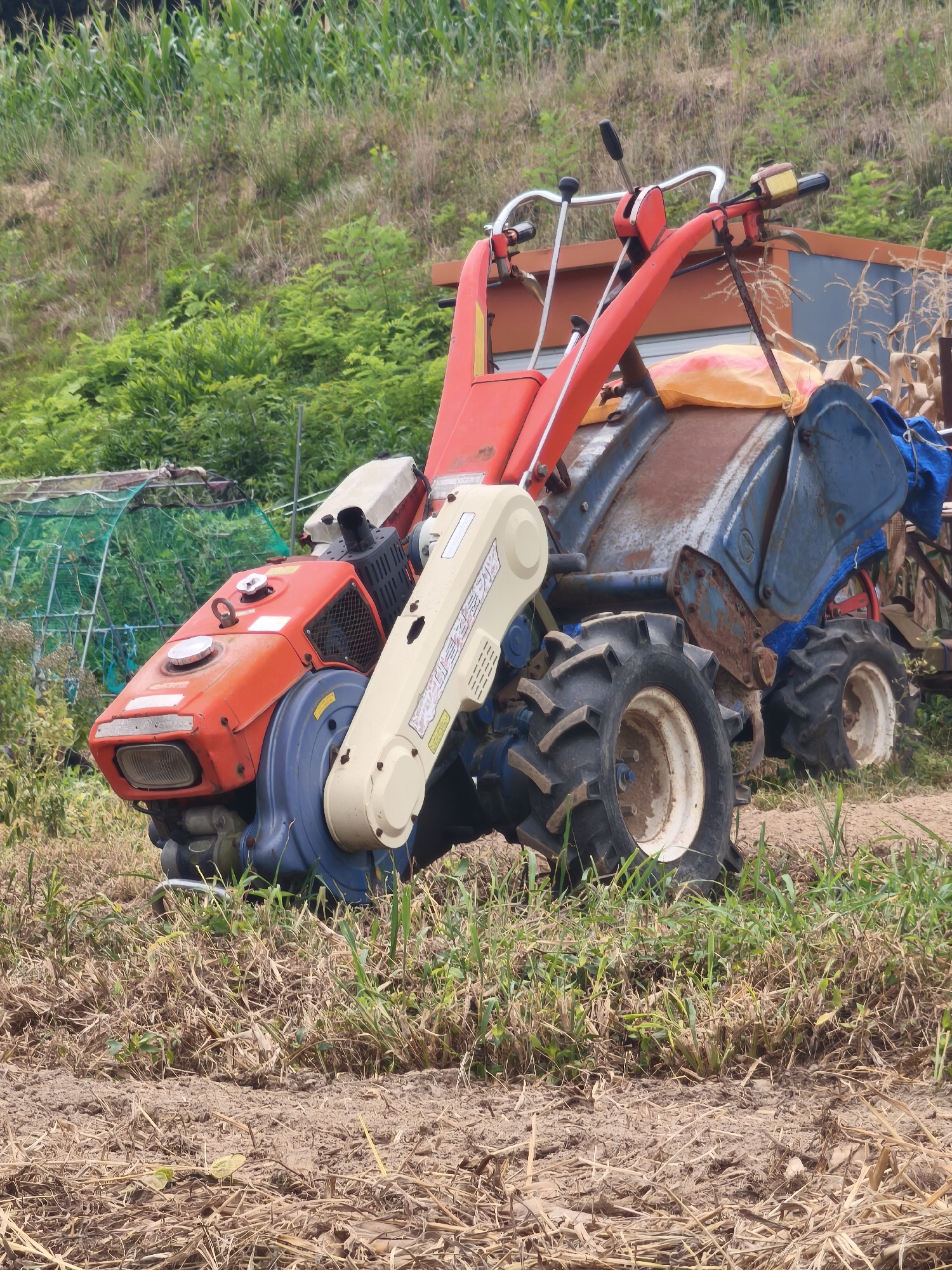 An orange and blue rototiller with a red frame sits in a field of dry grass and some green vegetation. The rototiller has two large wheels in the back and a smaller wheel in the front. Behind the rototiller, a green net structure can be seen, and further back, a hill covered in corn stalks. A brown structure with a blue roof is also visible behind the rototiller, partially obscured. The scene appears to be a rural or agricultural area in Asan-si, South Korea. There are no people visible in the image.