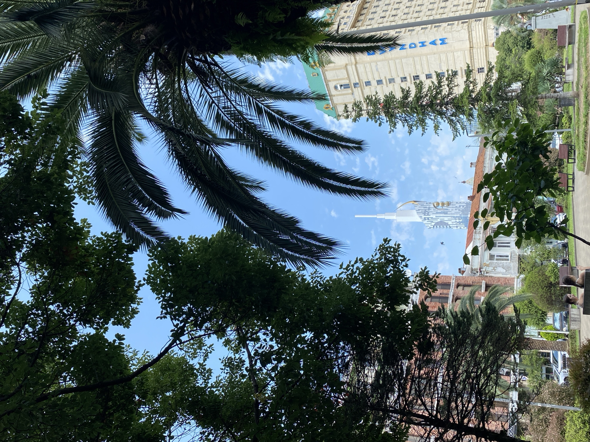A view of a city park in Batumi, Georgia, on a clear day. The foreground is dominated by the silhouettes of trees and palm fronds, framing the scene. In the midground, there is a pathway with several park benches and some greenery. Behind the park, a collection of buildings is visible. To the left, a red brick building with balconies and a white modern skyscraper are seen. In the center, a quaint building with a red roof stands. To the right, a large, light-colored building with a green roof and the word "WYNDHAM" prominently displayed on its facade is visible. The sky is blue with scattered white clouds. Two young women are seated on a park bench in the lower left quadrant of the image, facing the camera, with their backs slightly turned.