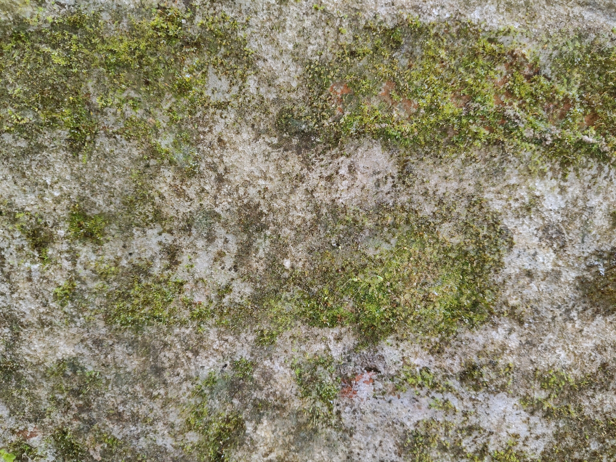 A close-up, overhead shot reveals a textured, weathered stone surface. The stone is predominantly light gray with areas of darker gray and brown, suggesting age and exposure to the elements. Patches of vibrant green moss are scattered across the surface, creating a natural, organic contrast to the rough stone. Some areas of the stone appear to have a slightly crystalline or powdery texture, possibly due to mineral deposits or erosion. There are hints of reddish-brown color within the stone, which could indicate the presence of brick or clay components. The lighting is even, casting no harsh shadows, which allows the details of the moss and stone texture to be clearly visible. No people or specific objects are present, making it a purely abstract study of natural textures.