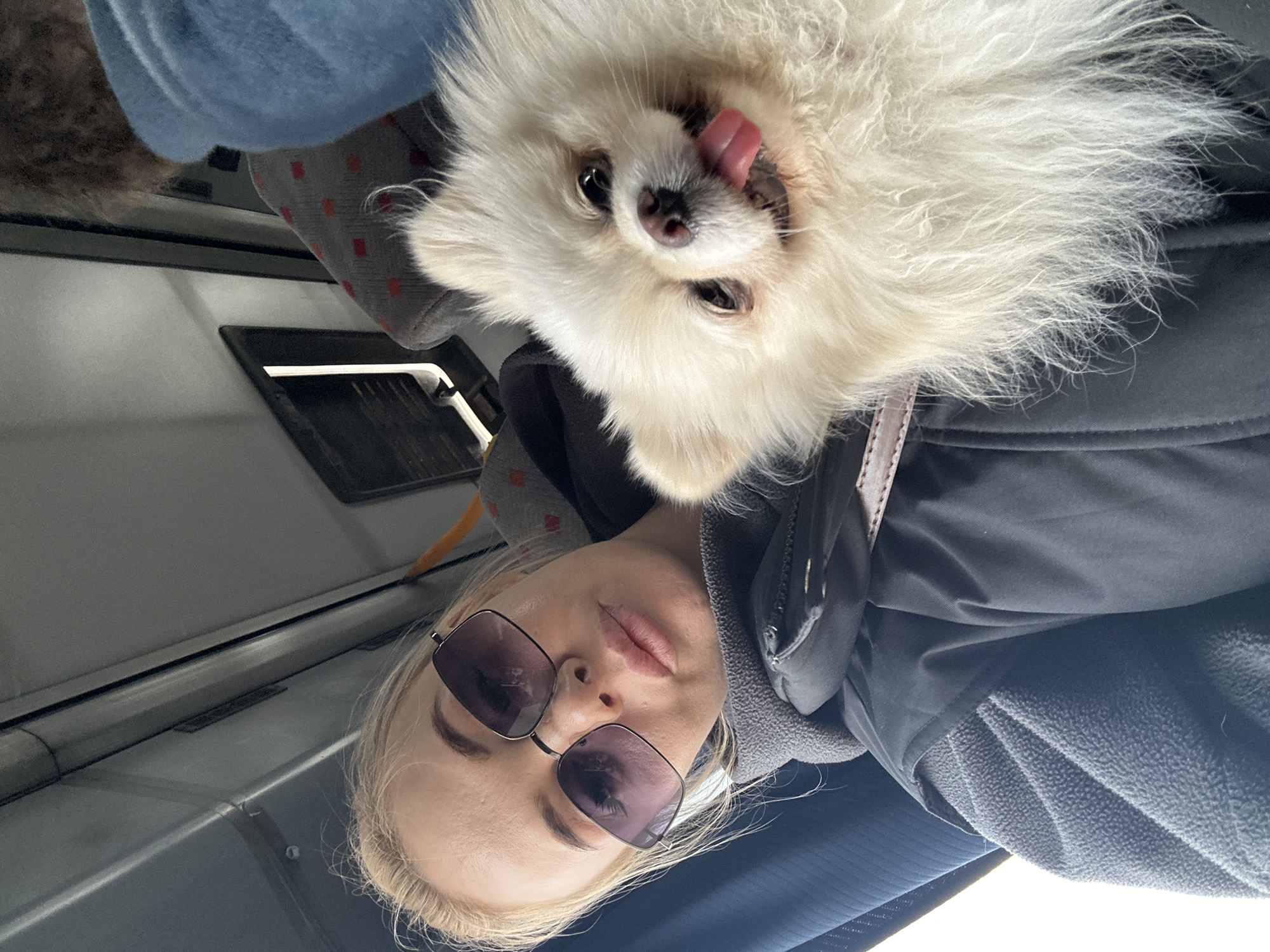 A woman with blonde hair and sunglasses is pictured in what appears to be a train or bus. A small, white dog is held near her head. The location is unknown, and there is no evidence to confirm it is in Megion, Russia.