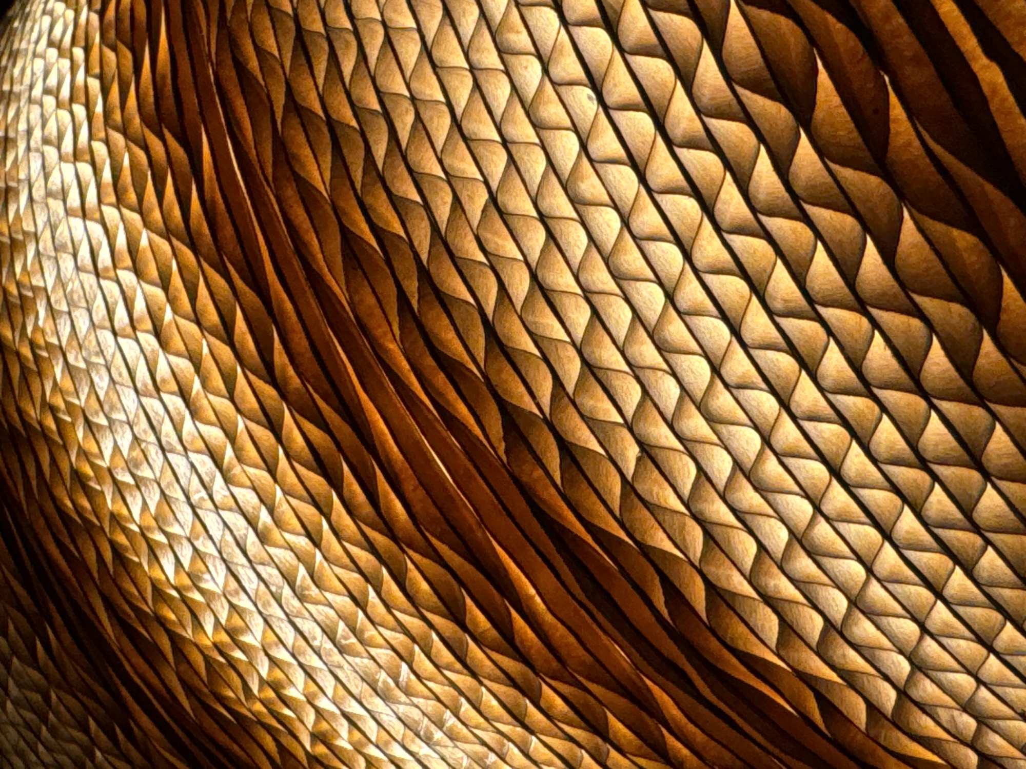 The image shows a close-up view of a textured surface with a repeating triangular pattern. The material appears to be organic, possibly wood or a similar substance, with variations in color from light to dark brown. The pattern is arranged in diagonal lines with shadows and highlights emphasizing the texture. The crops are of different segments of this image. There is no indication of location or people in this image.
