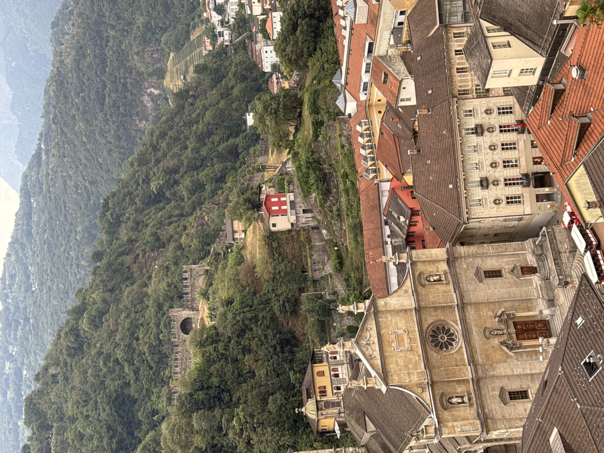 The image is an aerial view of the city of Bellinzona, Switzerland, showcasing its historic architecture and surrounding landscape. In the foreground, a grand, stone church with a prominent rose window dominates the scene. Its facade is adorned with statues and intricate carvings. Adjacent to the church are buildings with red-tiled roofs and ornate detailing on their exteriors, typical of European architecture.
Further up the hillside, a medieval castle structure with arched gateways and crenellated walls is visible, hinting at the city's rich history. The background is characterized by lush, green mountainsides covered in dense forests, suggesting a mountainous terrain. A few scattered buildings and vineyards are visible on the slopes, indicating human habitation and agriculture integrated with the natural environment. The overall impression is one of a charming, historic city nestled within a beautiful, verdant landscape.