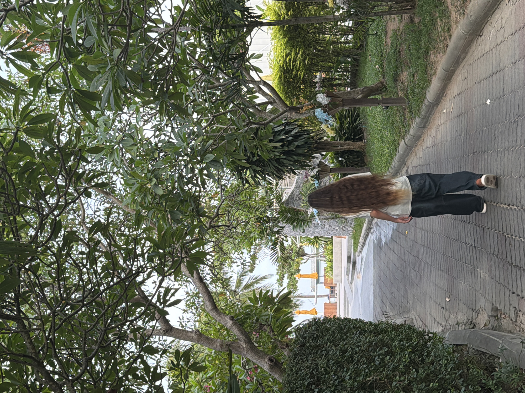 A person with long, brown hair is walking away from the camera down a paved walkway lined with greenery. The walkway is made of grey pavers and curves slightly to the right. On the left side of the walkway, there is a tall, neatly trimmed green hedge. On the right side, there is a lawn with scattered trees and bushes, some with colorful flowers in planters. In the distance, through the trees, a beach area is visible with orange umbrellas and lounge chairs. The sky is overcast. The overall setting appears to be a tropical resort or garden area, possibly in the Ko Samui District of Thailand, given the lush vegetation and proximity to a beach.