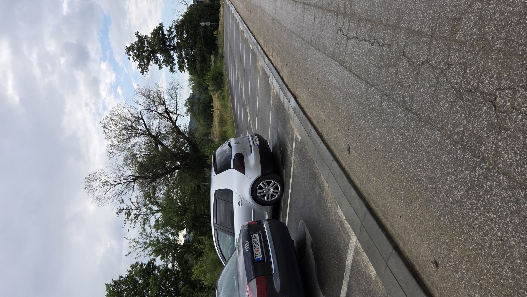 An outdoor, overcast, medium-shot photograph shows a parking lot with two cars parked, a dark grey Audi in the foreground on the left and a silver Volkswagen Golf in the middle ground on the right. The Audi's rear is visible, with a Bulgarian license plate reading "TE 0880 AE" on the left. The Golf's rear is also visible, with a Bulgarian license plate reading "E 2858 EE" on the right. The parking lot is paved and lined with white parking spaces. A raised concrete curb separates the parking lot from a wet asphalt road in the foreground. Trees and vegetation line the background, with a cloudy sky above.