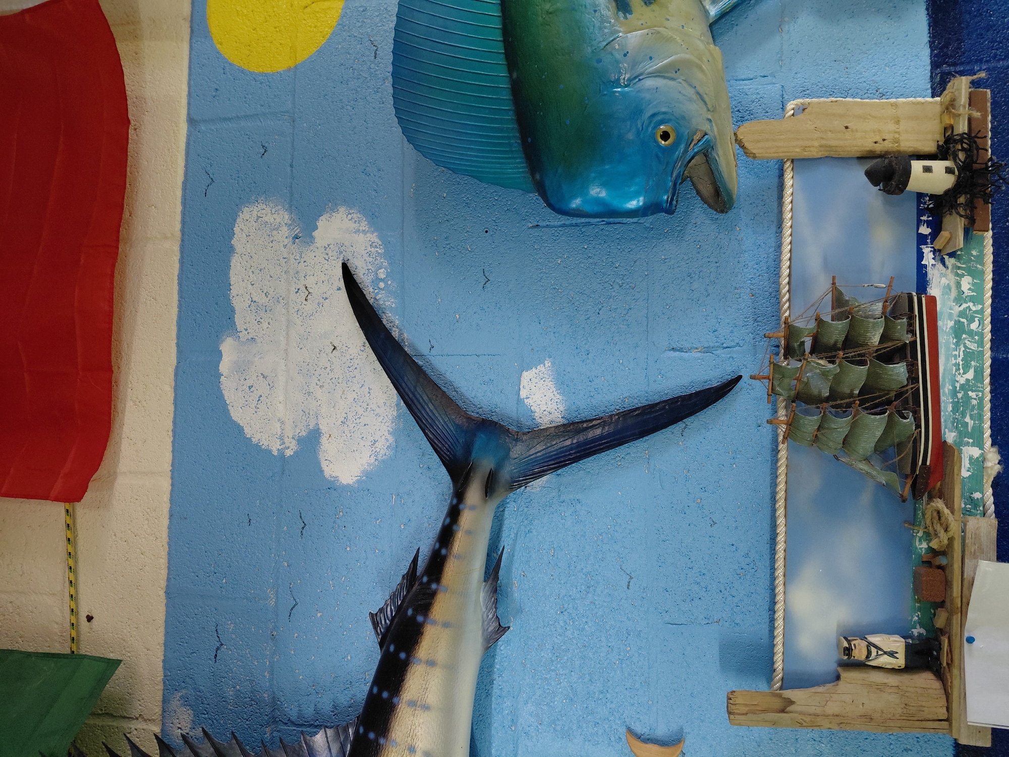 The image shows a wall display, likely in a business or recreational establishment in Cutler Bay, Florida, USA. The wall is painted to simulate a seaside scene. It features a red stripe on the left, then a white stripe, and then a blue background with painted white clouds and a yellow sun. Several mounted fish, possibly decorative sculptures or taxidermied specimens, are present. A blue and green marlin head is mounted near the top right. A marlin tail, with dark blue and silver coloration, is mounted lower on the left. The tail is positioned as if the fish is swimming downwards. The fish are facing away from the viewer. A framed diorama of a sailing ship, made from wood and plastic, is positioned on the right side of the display. The diorama also has a miniature sailor figurine. The background of the diorama is painted to resemble the sky. The overall effect is a nautical theme.