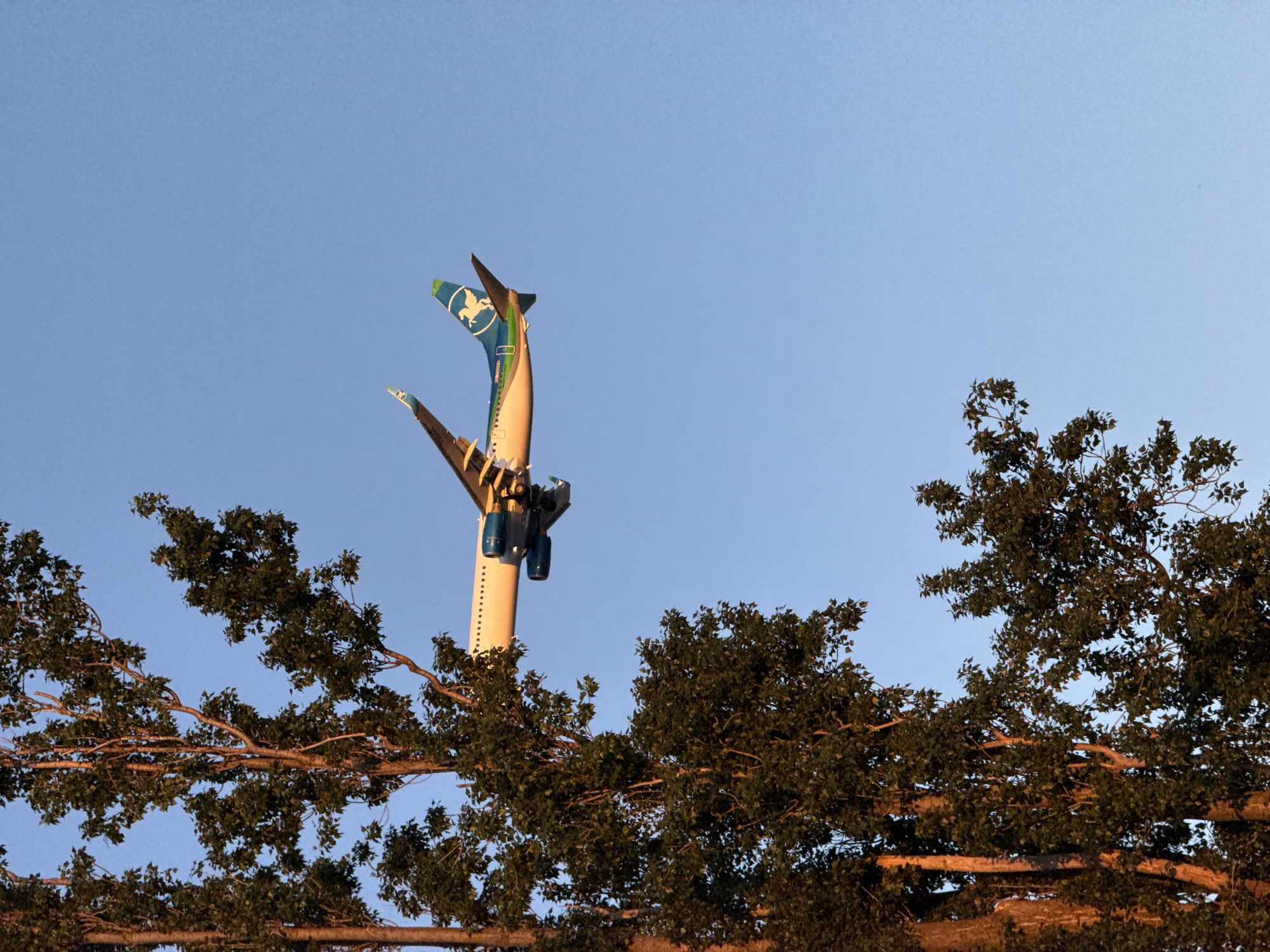 This image captures the distinctive tail section of an airplane mounted atop a towering vertical structure, set against a clear, light blue sky. The aircraft tail, angled sharply upwards, features a vibrant blue and green livery adorned with a white, Pegasus-like winged horse logo. The registration number "RA-73004" is visible on the tail. Below the main tail fin, part of the structural mast is visible, with some dark, cylindrical components attached.
The lower and right portions of the frame are filled with the dark, dense foliage of trees, their branches extending across the view. The lighting on the airplane tail and parts of the tree branches suggests either early morning or late afternoon, with warm, golden light illuminating the side facing the sun, creating a subtle contrast with the cooler tones of the sky. The weather appears clear and calm, with no clouds.
This structure is a prominent feature of the landscape, strongly resembling the "Quantum Leap" inverted launch coaster at Sochi Park in Sirius, Russia. The image depicts one of the ride's tall towers, where the coaster cars, designed as plane tails, are positioned. The scene conveys a sense of height and the impressive scale and design of the attraction. No people or direct activity are visible, focusing instead on the static structure.