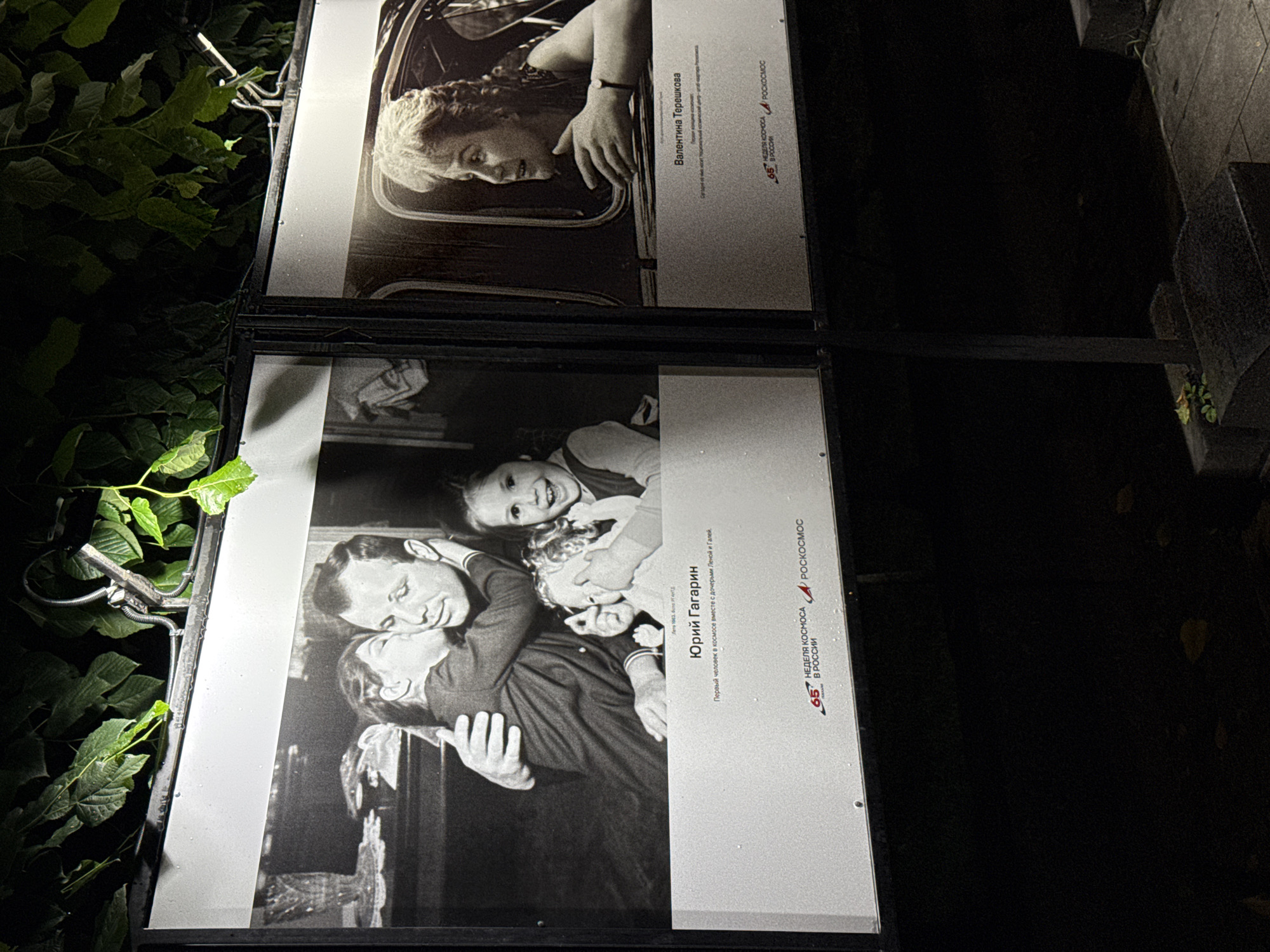 This media file showcases two framed black and white photographs displayed outdoors at night, illuminated by artificial lighting. The photographs appear to be part of an exhibition, possibly related to space exploration, given the visible text "РОСКОСМОС" (Roscosmos), the Russian space agency.
The top photograph features a portrait of a woman, identified by the text as "Валентина Терешкова" (Valentina Tereshkova). She is looking out of a window, and her expression suggests curiosity or contemplation. The photograph is dated "Лето 1962" (Summer 1962).
The bottom photograph depicts a man, identified as "Юрий Гагарин" (Yuri Gagarin), First Man in Space. He is embracing two young girls, presumably his daughters, Lena and Galya, as indicated by the text: "Первый человек в космосе вместе с дочерьми Леной и Галей." (The first man in space with his daughters Lena and Galya). The scene conveys a sense of warmth and familial affection.
Both photographs have accompanying text and logos, including "65 НЕДЕЛЯ КОСМОСА В РОССИИ" (65th Space Week in Russia), suggesting the exhibition celebrates a significant anniversary. The images are framed and mounted on stands, with lush green foliage visible to the left of the display, suggesting an outdoor setting. The lighting creates a dramatic effect, highlighting the portraits against the dark night. The overall impression is that of a public art installation or a historical exhibition.