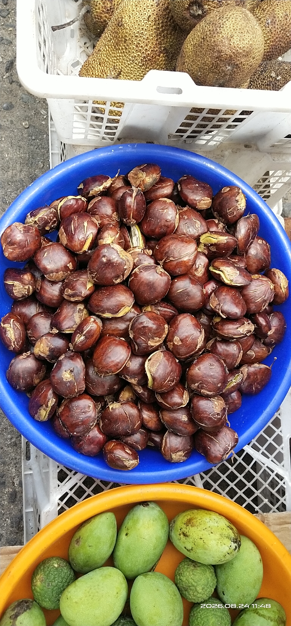 In Tamiang Layang, Indonesia, a top-down view captures a close-up of a vibrant market stall. In the foreground, a bright orange bowl overflows with unripe green mangoes and other unidentifiable green fruits, some with textured rinds. Behind this, a large blue bowl is filled with dark brown, kidney-shaped nuts, some split open revealing a pale yellow interior. The nuts are smooth with occasional rough, textured patches and some appear to have been recently harvested. In the background, two white plastic crates are stacked, containing more of these brown nuts and what appear to be large, spiky jackfruits. The overall scene is one of fresh produce displayed for sale at a local market.
